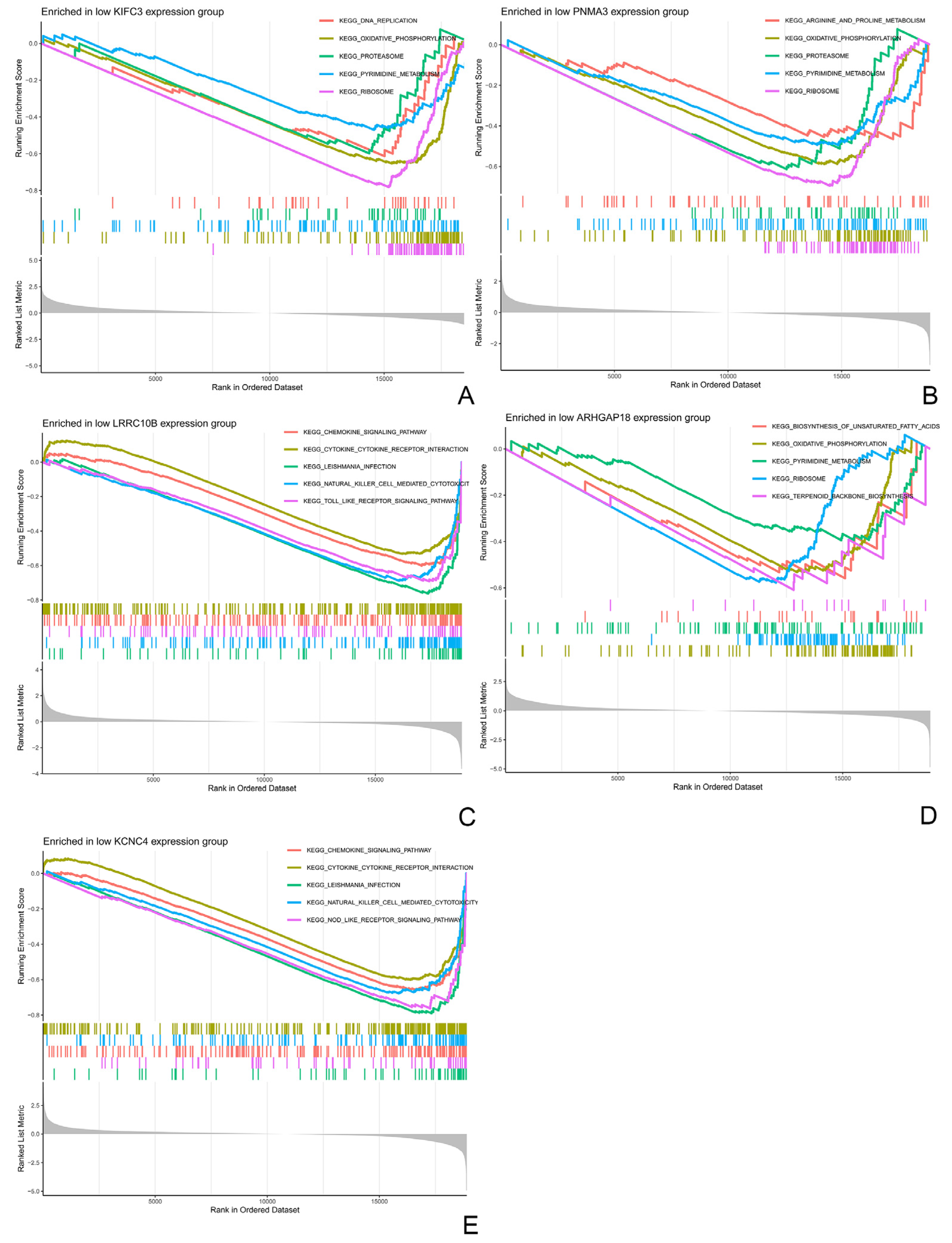 Biomedicines 14 00484 g006 Biomedicines 14 00484 g006