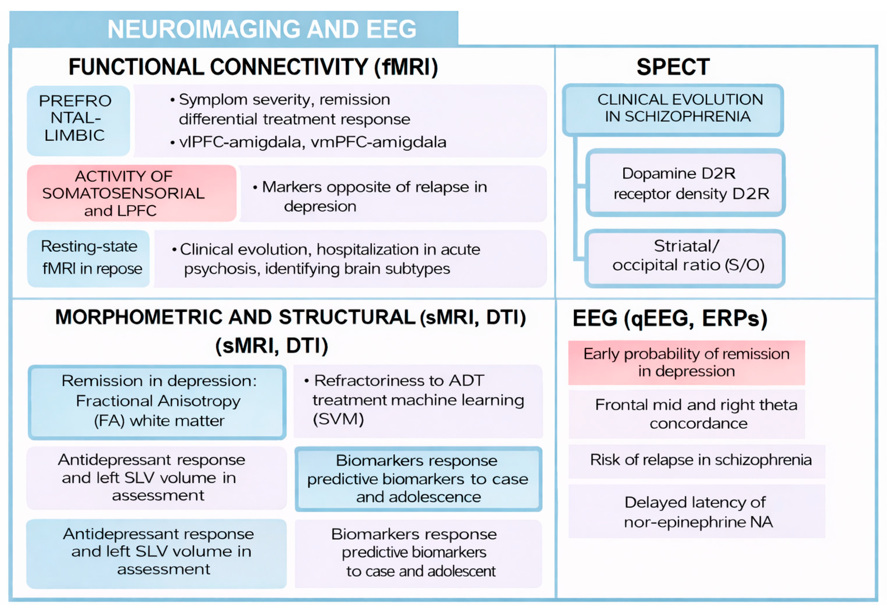 Biomedicines 14 00558 g003