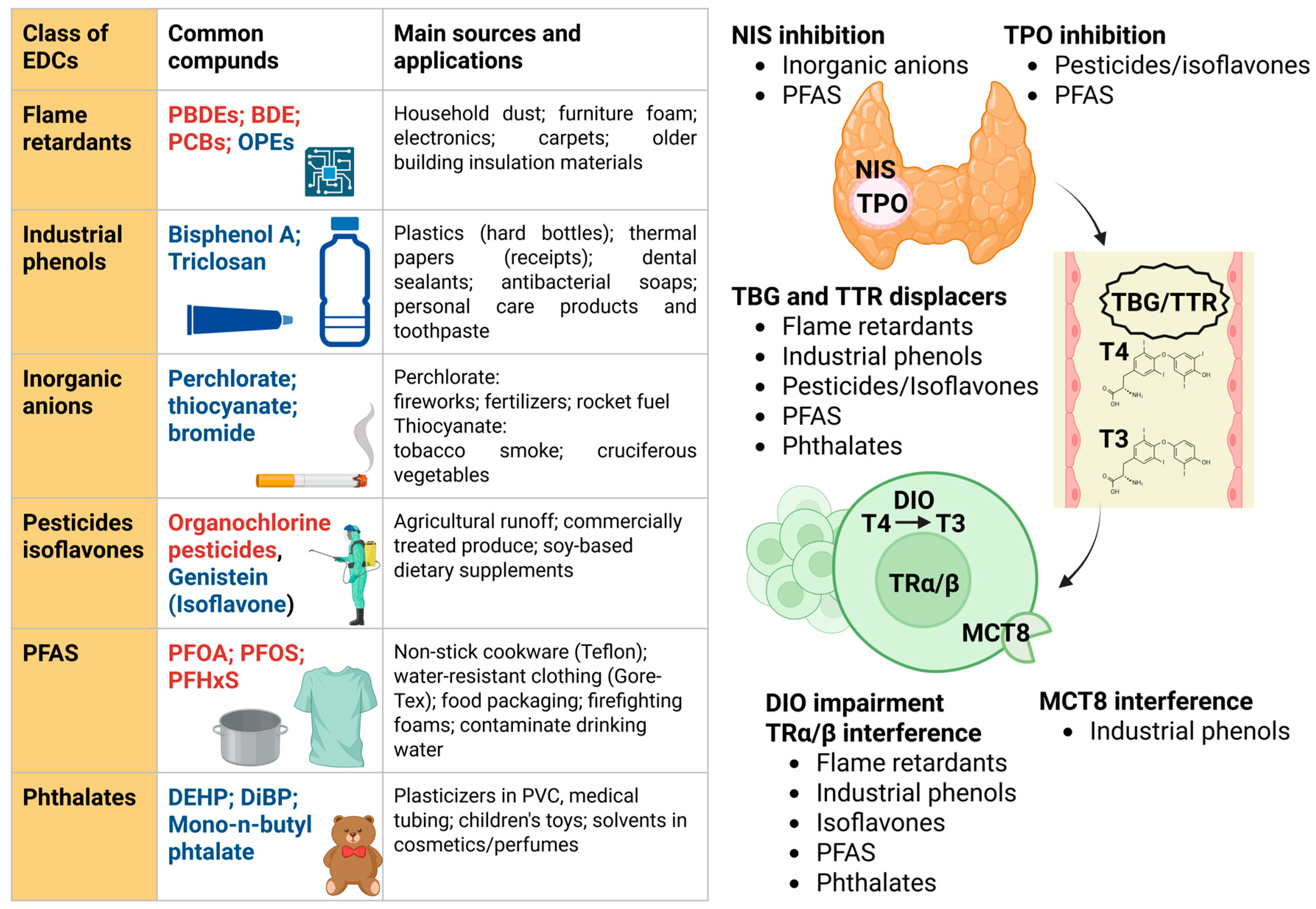 Biomedicines 14 00564 g002