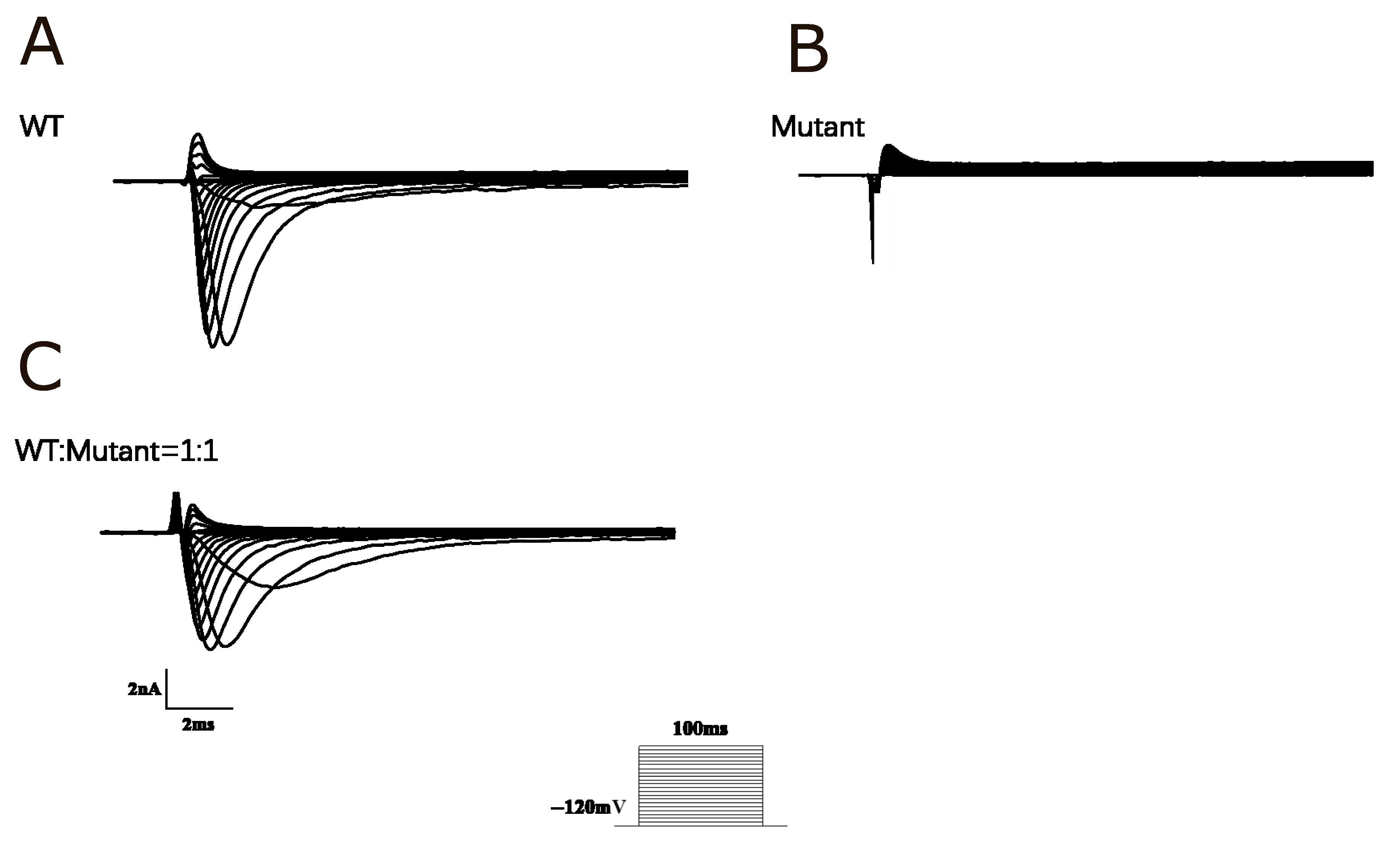 Biomedicines 14 00582 g002