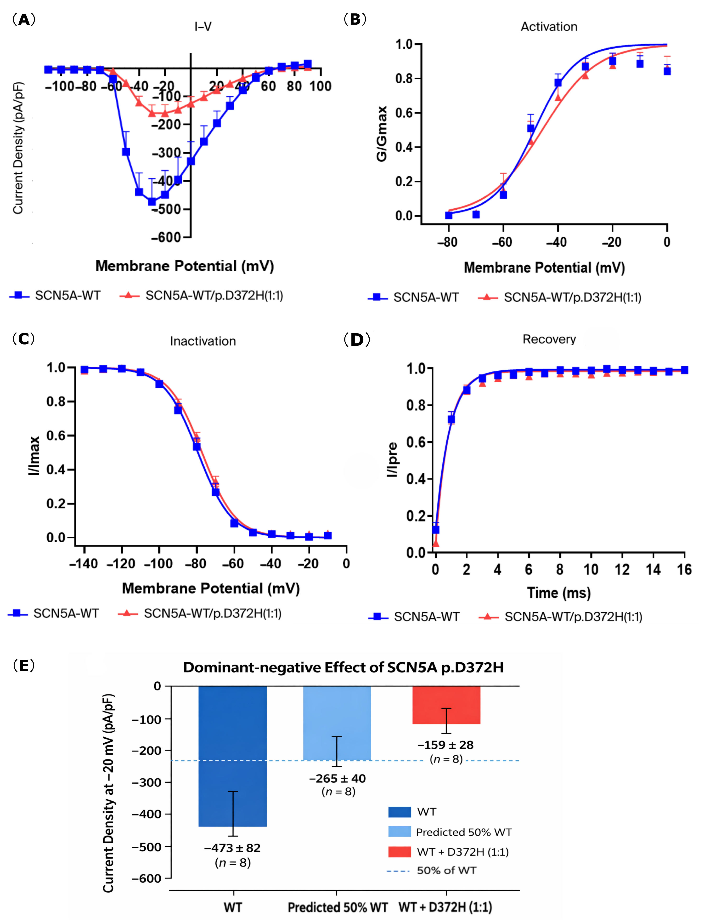 Biomedicines 14 00582 g003
