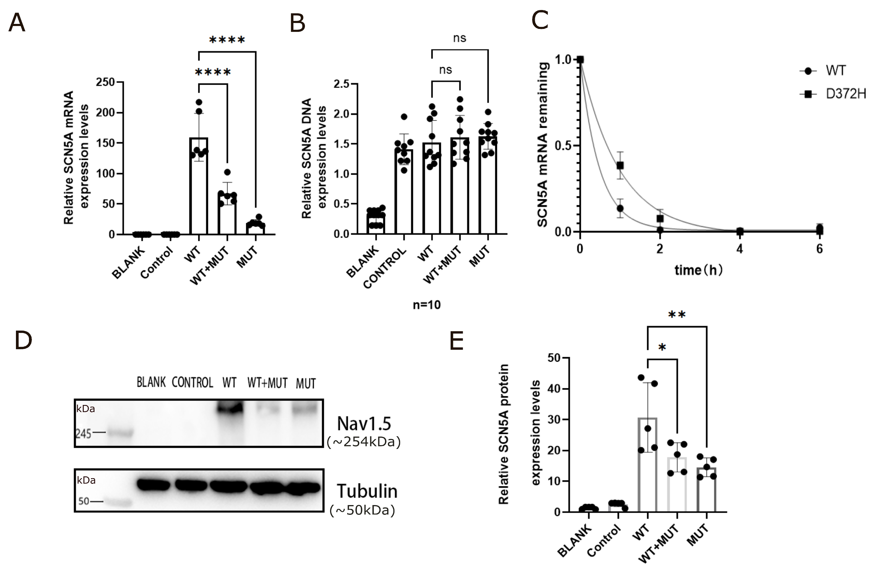 Biomedicines 14 00582 g005