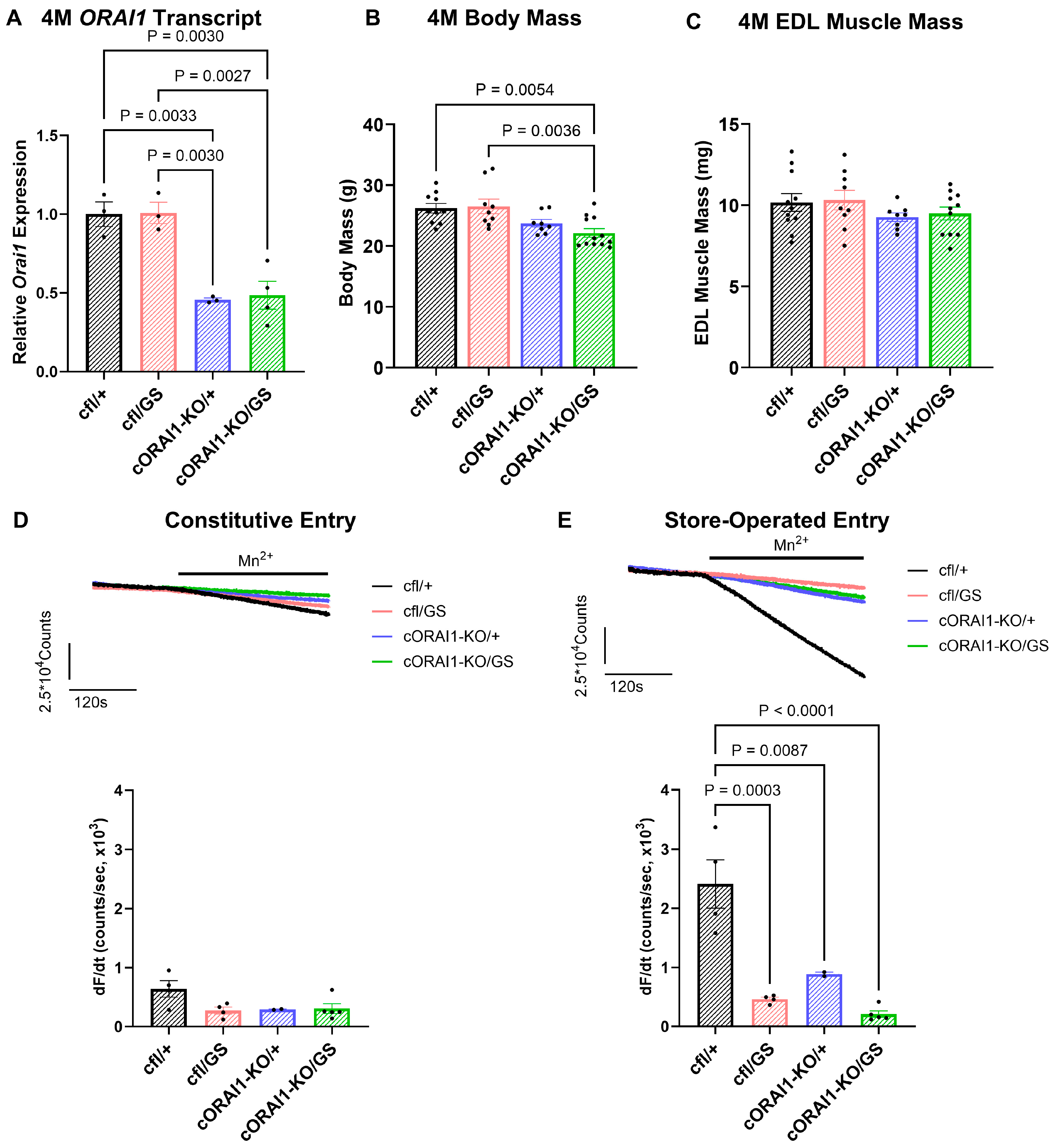 Biomedicines 14 00587 g001