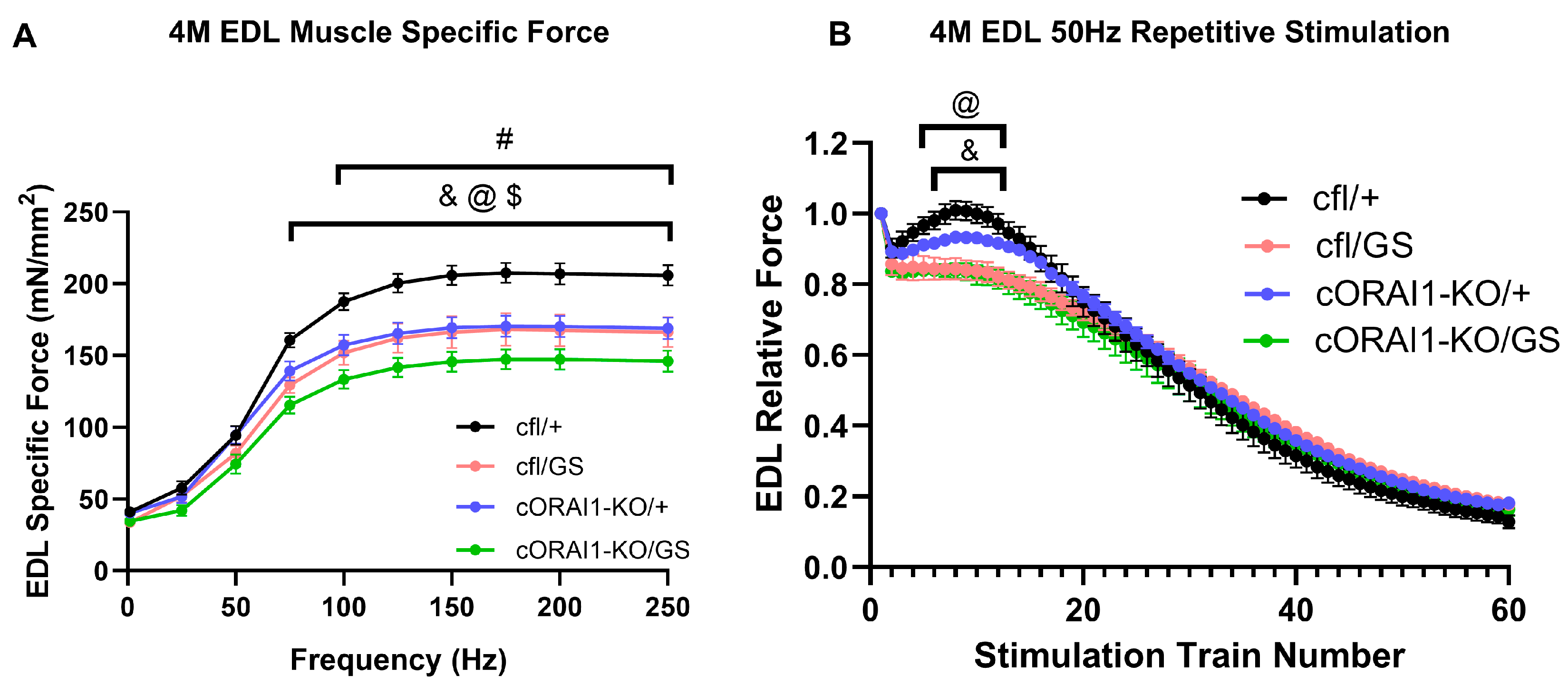 Biomedicines 14 00587 g004