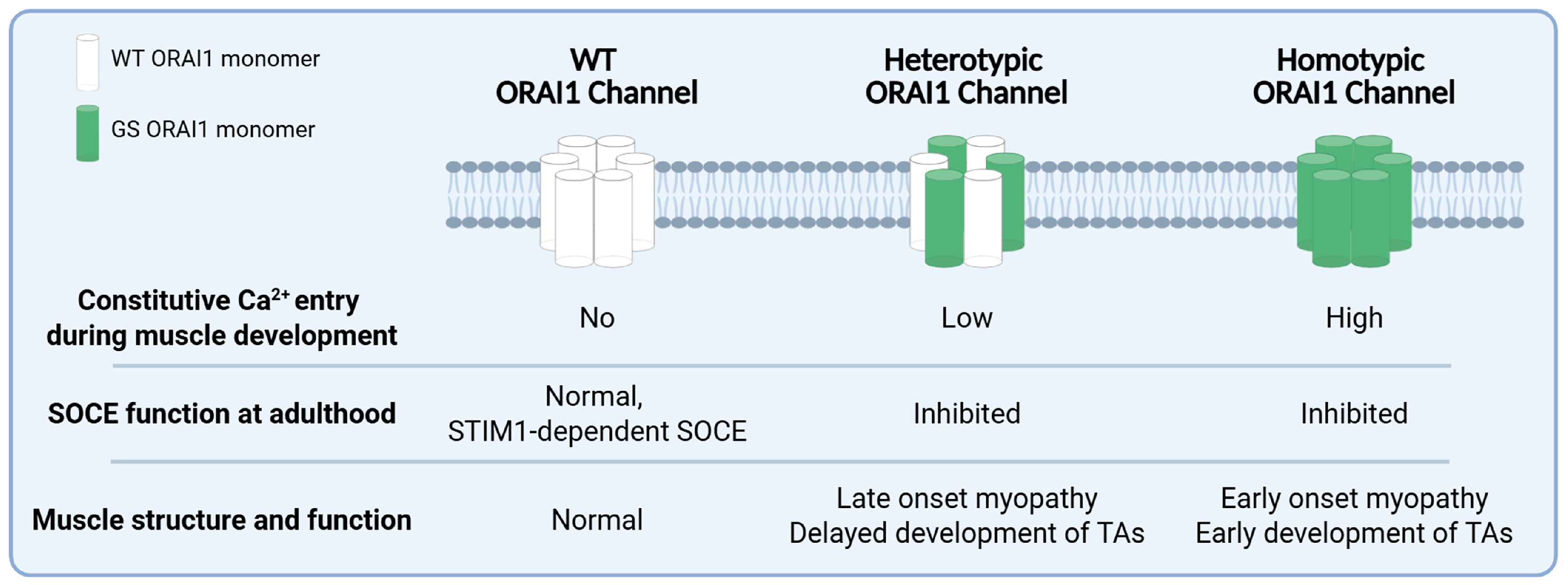 Biomedicines 14 00587 g006