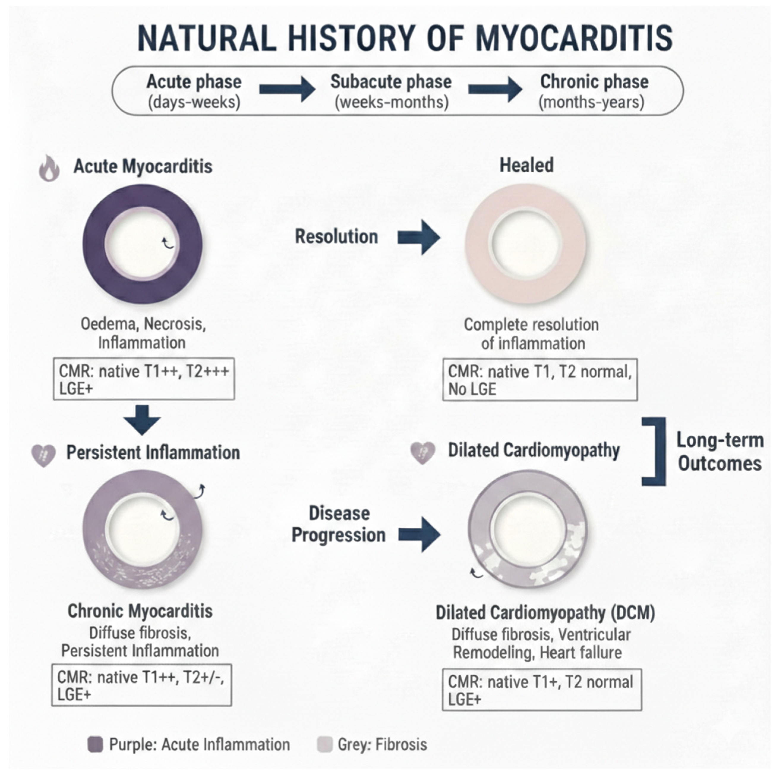 Biomedicines 14 00588 g002 Biomedicines 14 00588 g002