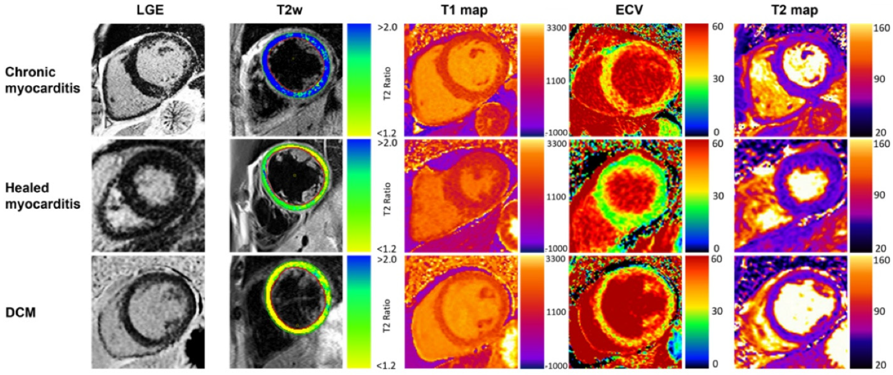 Biomedicines 14 00588 g004 Biomedicines 14 00588 g004