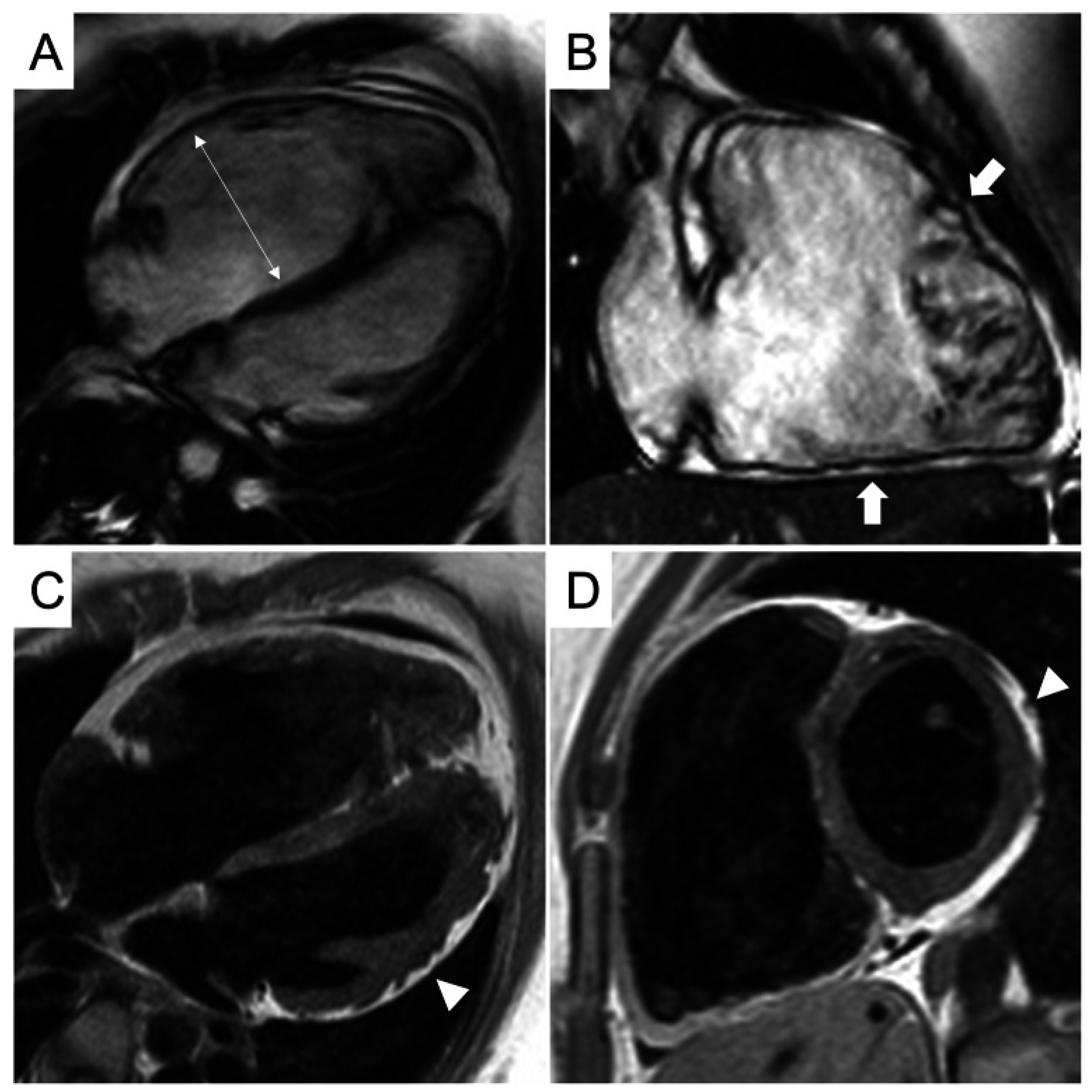 Biomedicines 14 00588 g008 Biomedicines 14 00588 g008