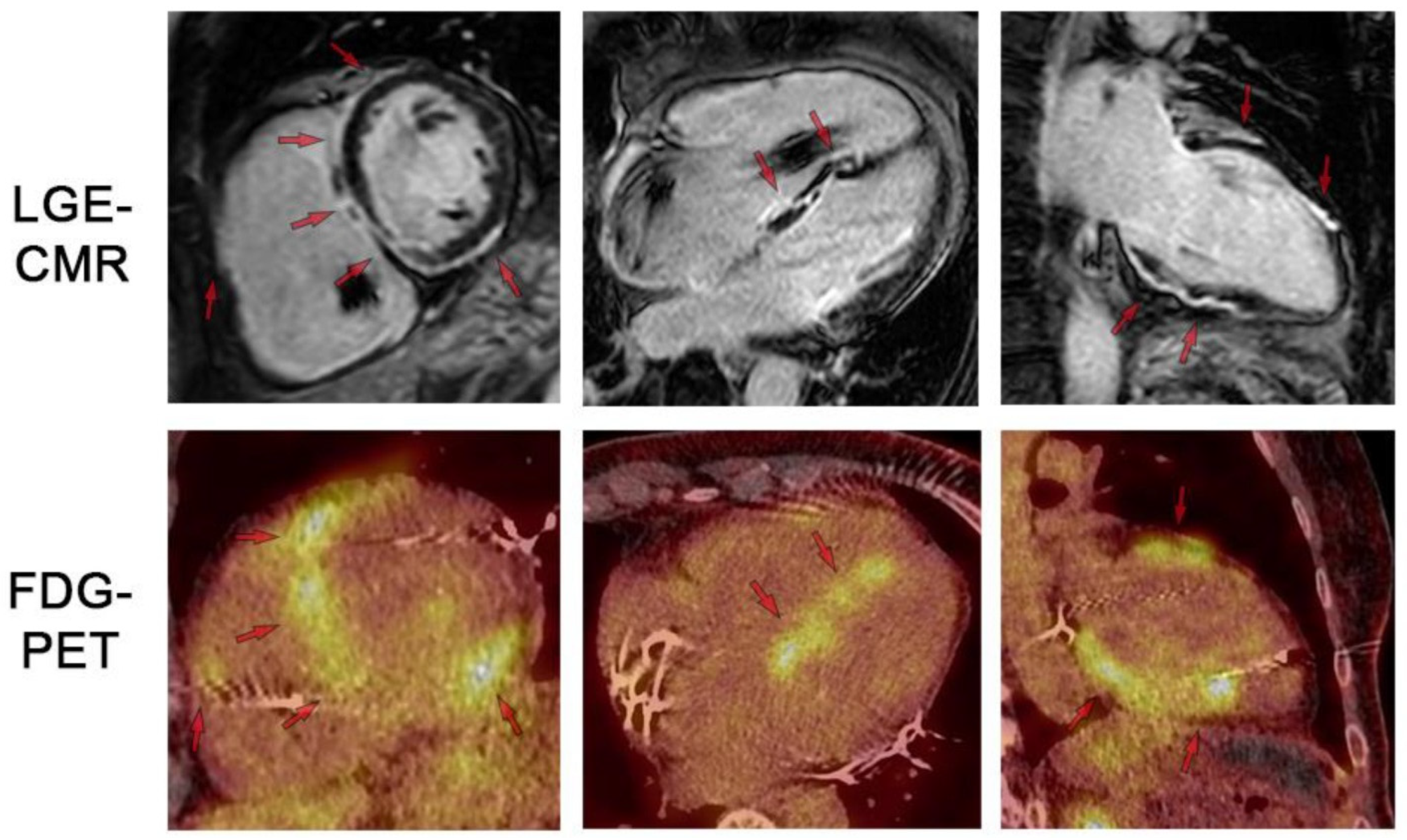 Biomedicines 14 00588 g009 Biomedicines 14 00588 g009
