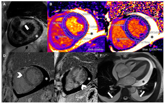 Biomedicines 14 00588 g011