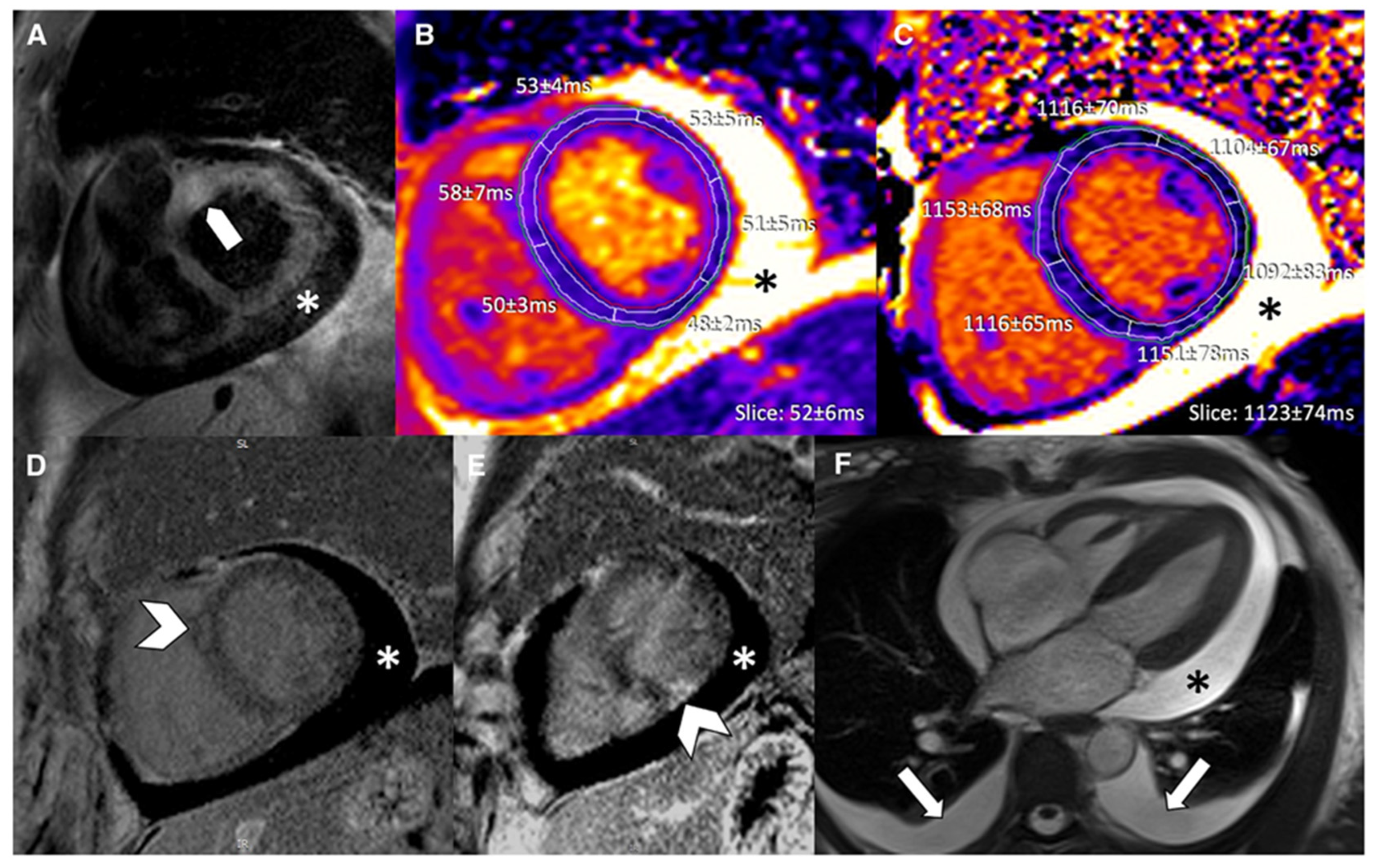 Biomedicines 14 00588 g011 Biomedicines 14 00588 g011