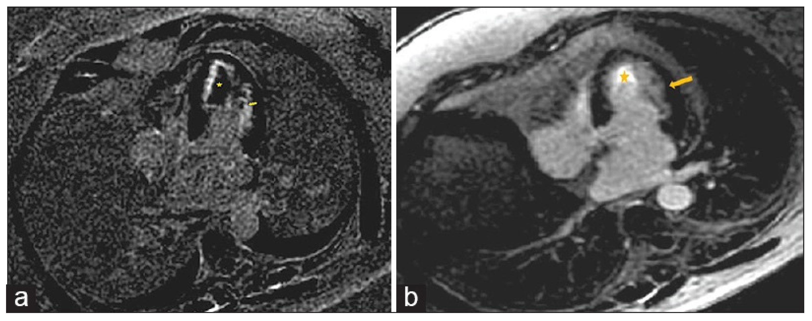 Biomedicines 14 00588 g012 Biomedicines 14 00588 g012