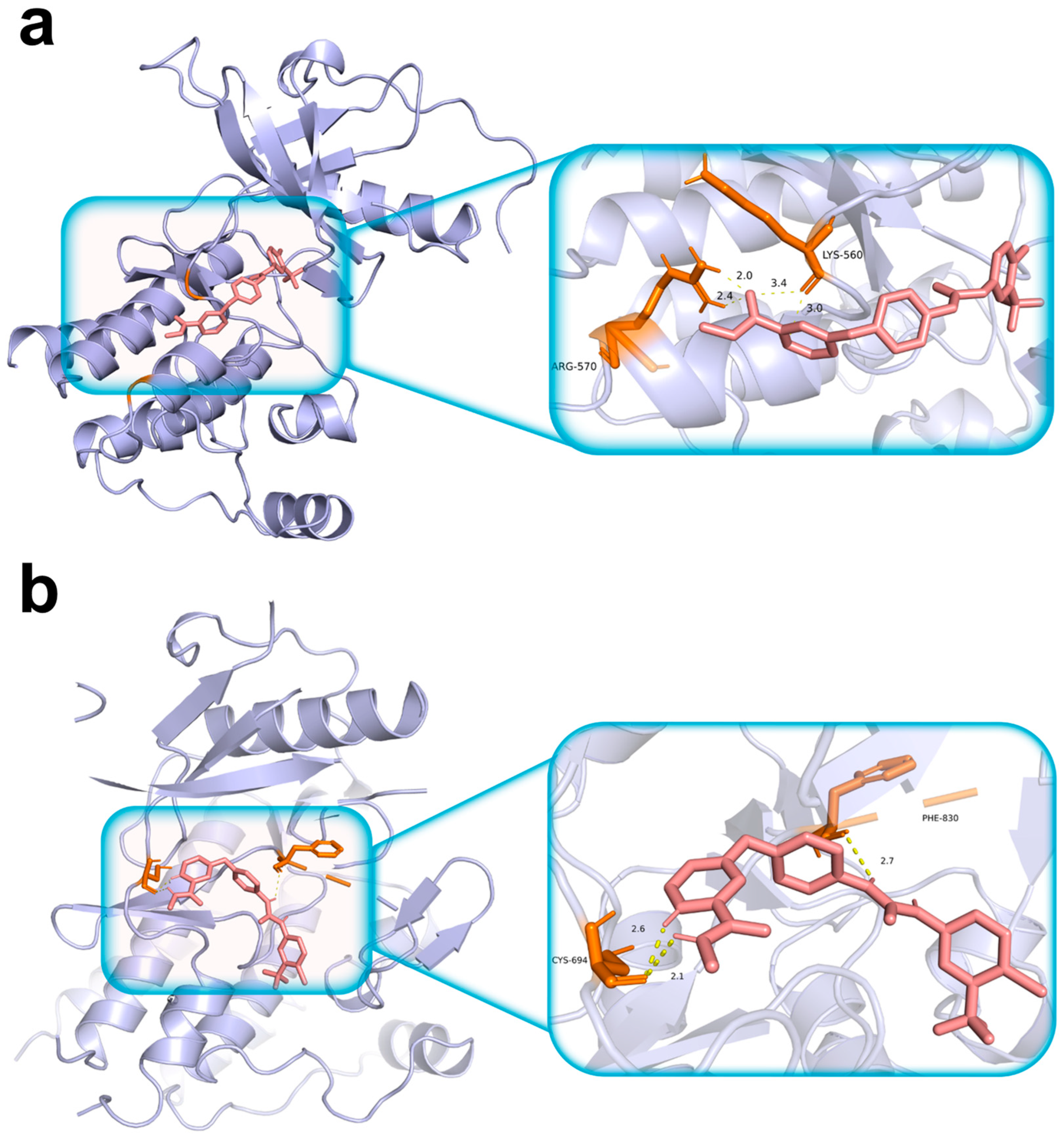Biomedicines 14 00592 g006