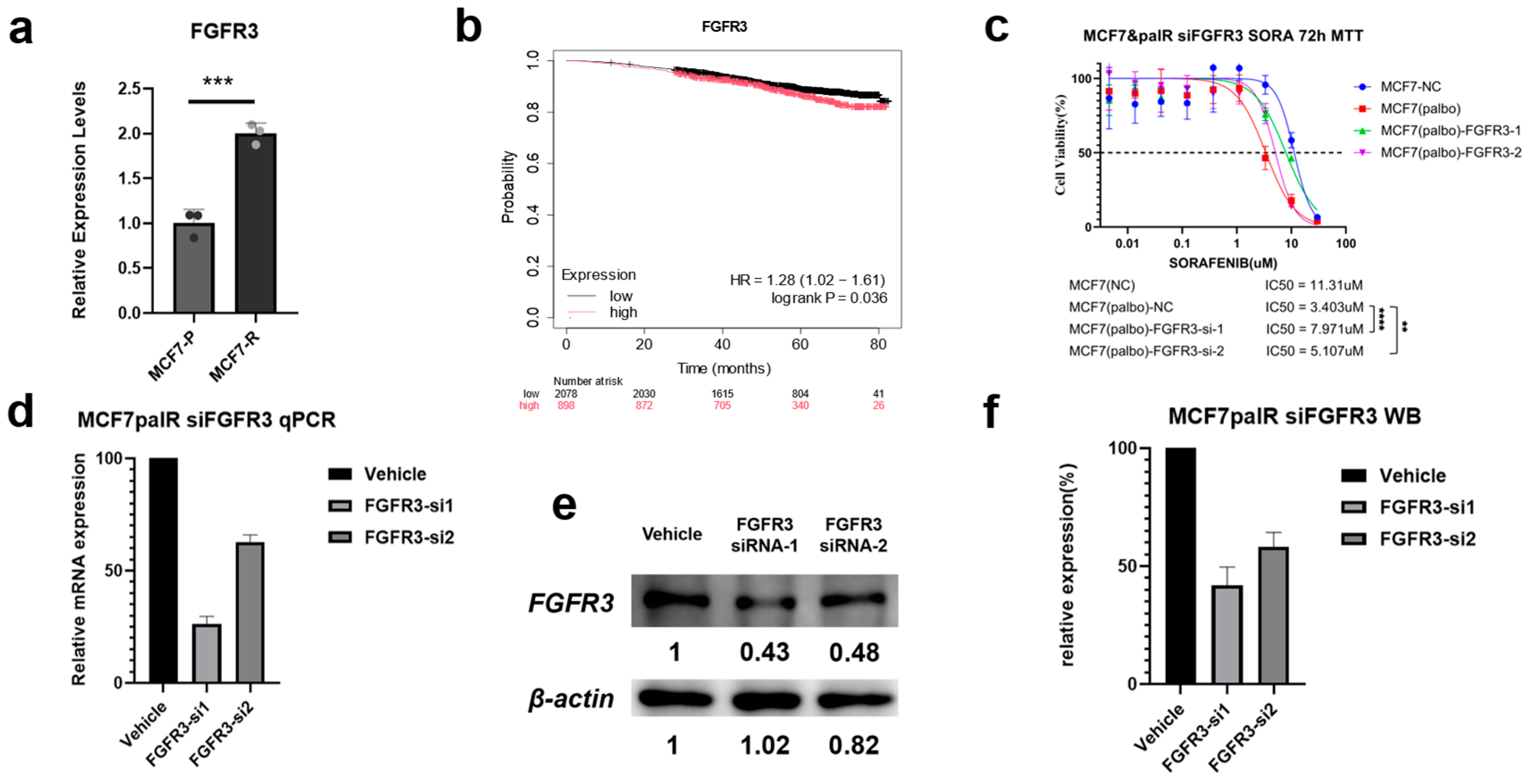 Biomedicines 14 00592 g008