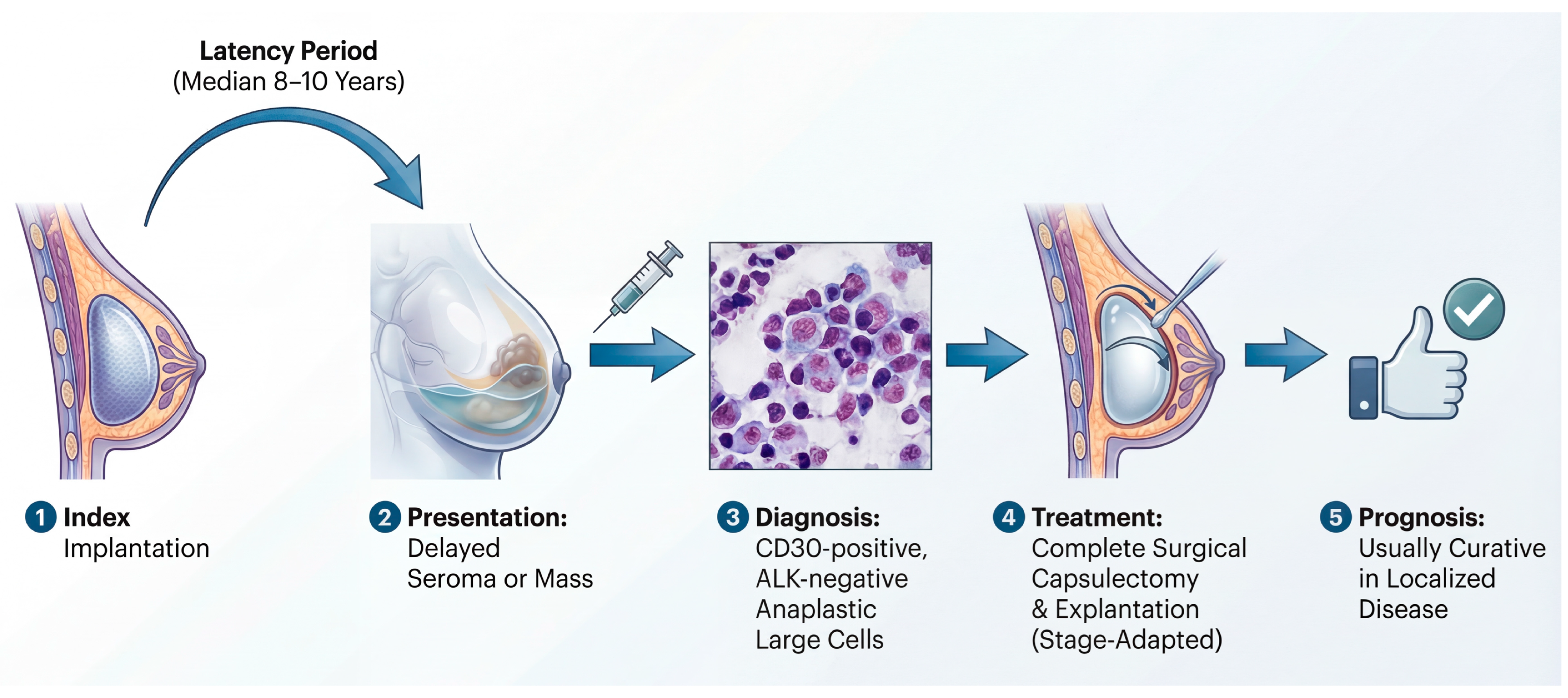Biomedicines 14 00600 g001 Biomedicines 14 00600 g001