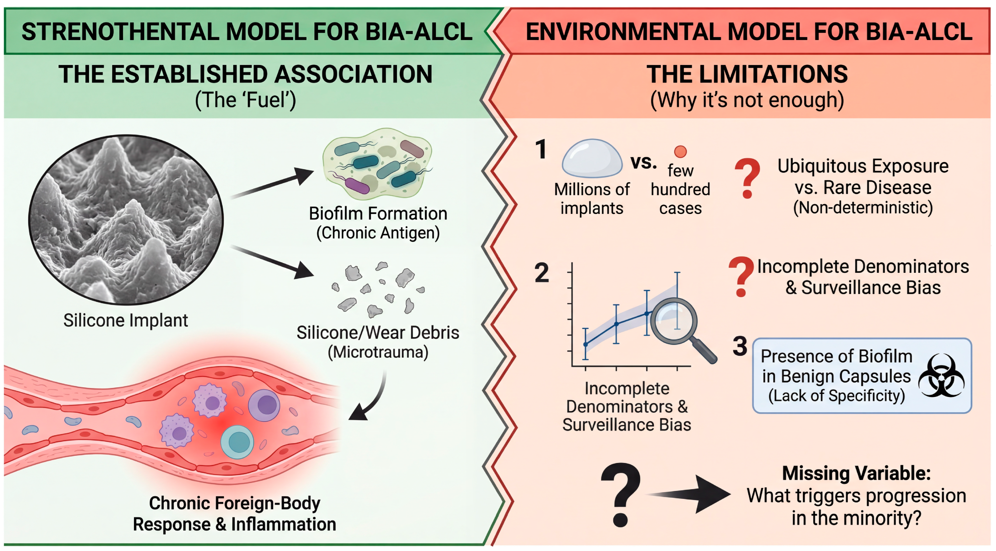 Biomedicines 14 00600 g002 Biomedicines 14 00600 g002