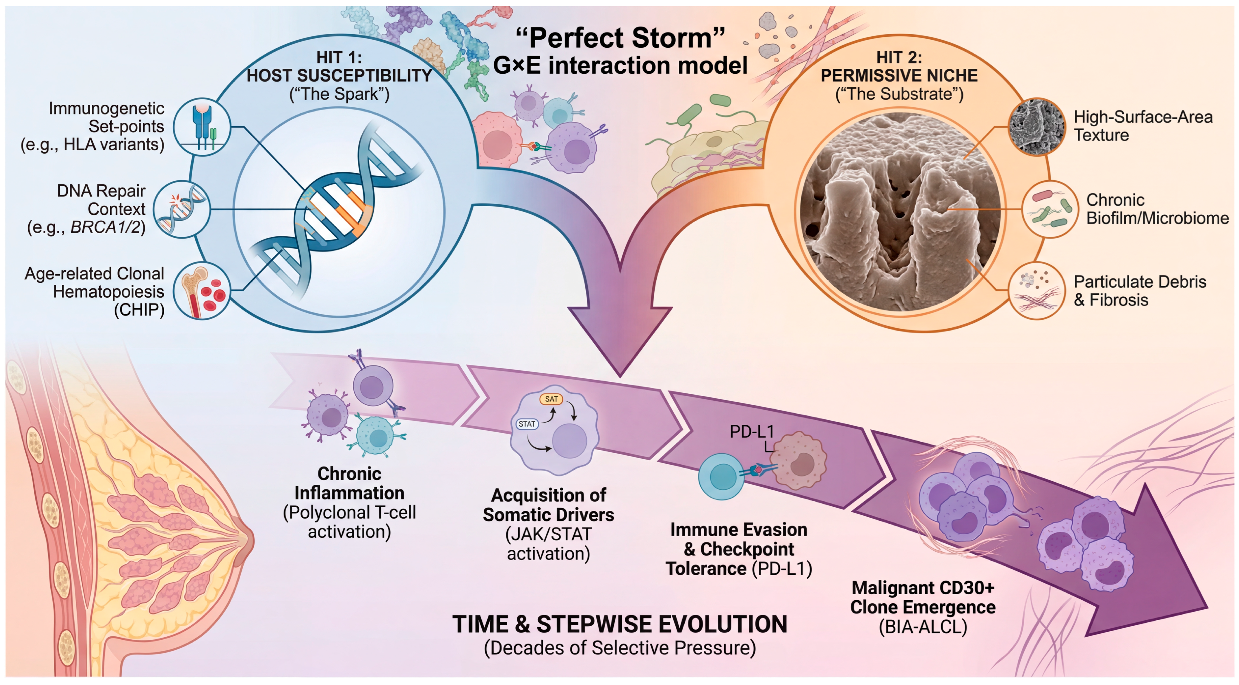 Biomedicines 14 00600 g003 Biomedicines 14 00600 g003