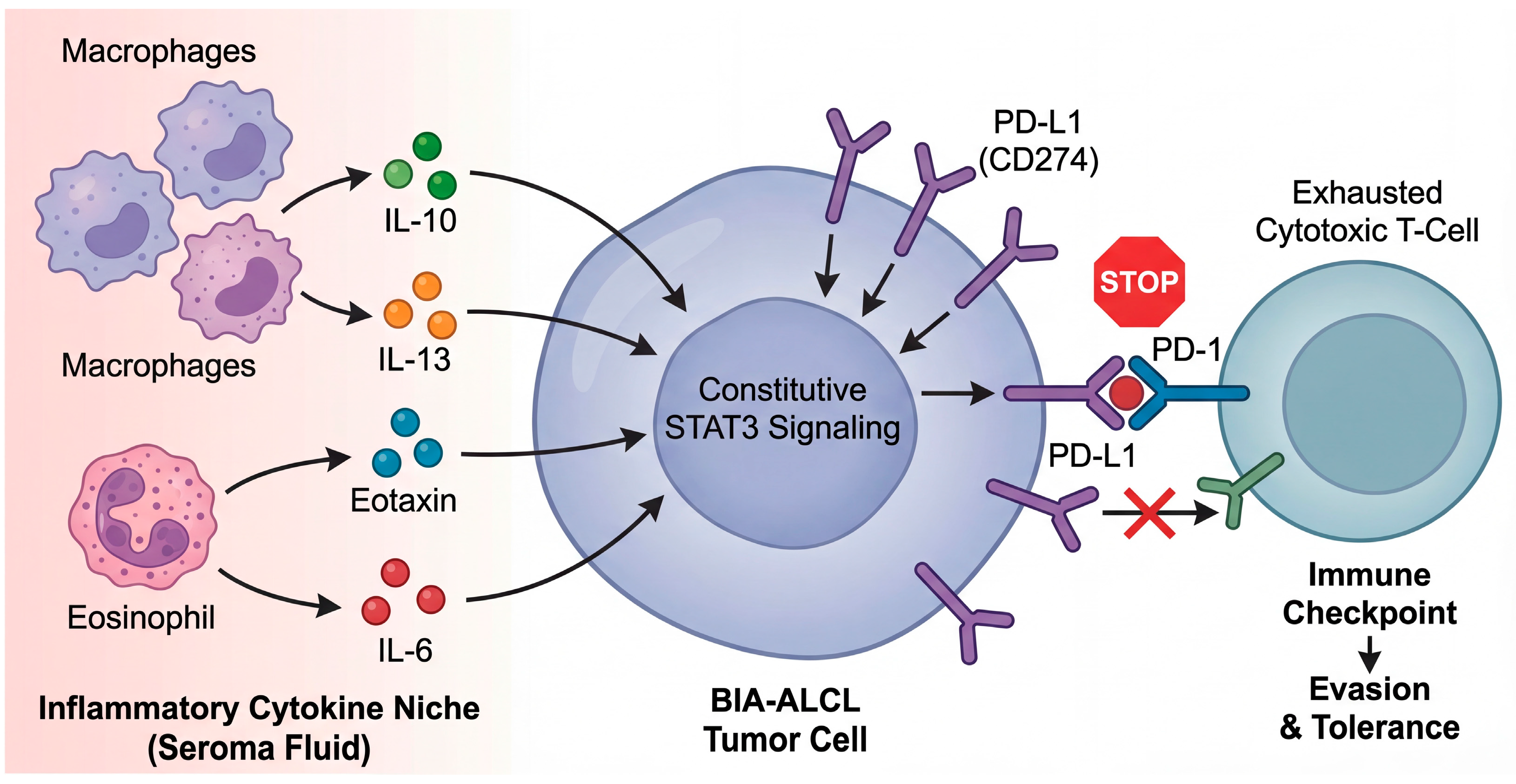 Biomedicines 14 00600 g005 Biomedicines 14 00600 g005