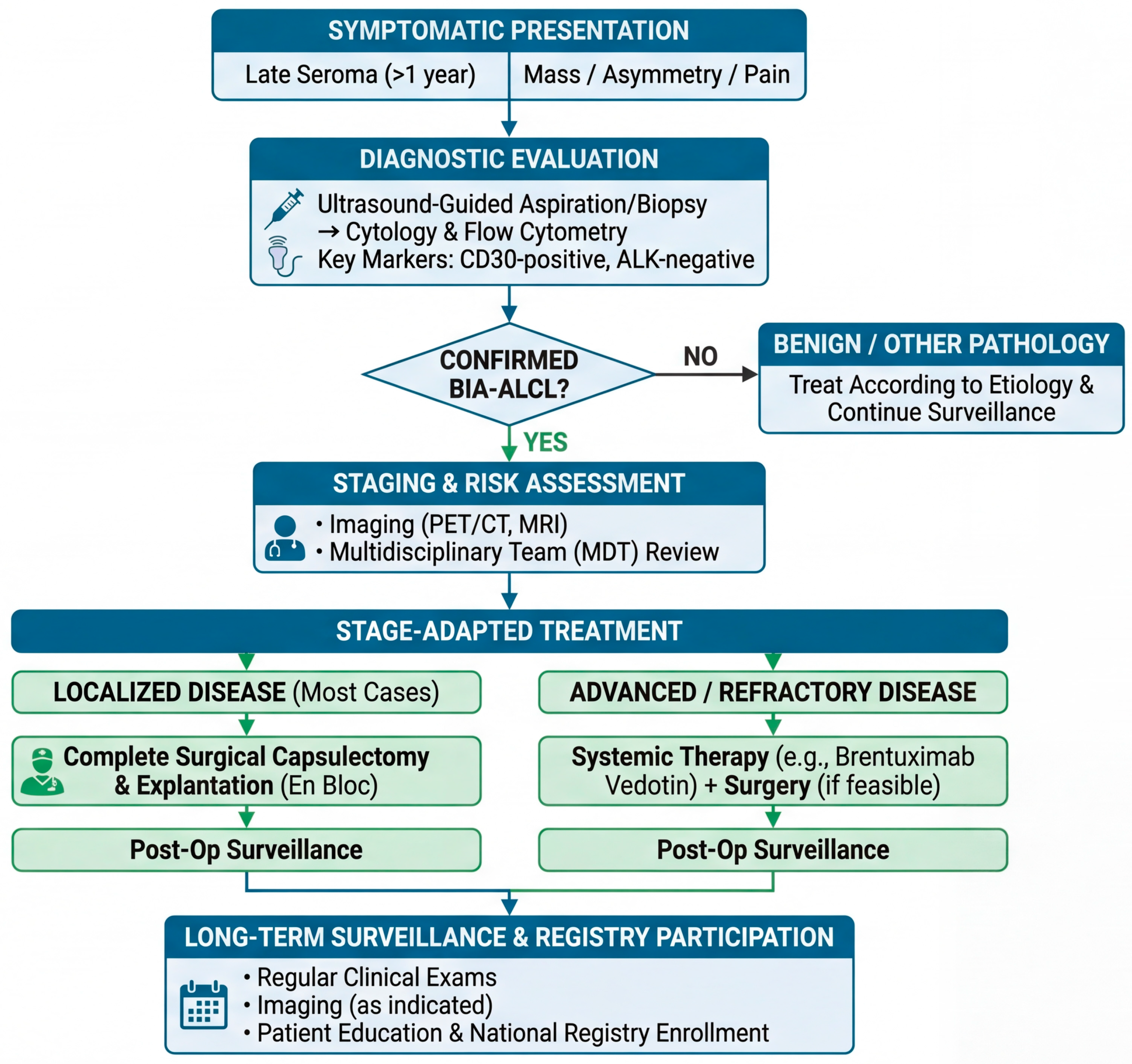 Biomedicines 14 00600 g006 Biomedicines 14 00600 g006