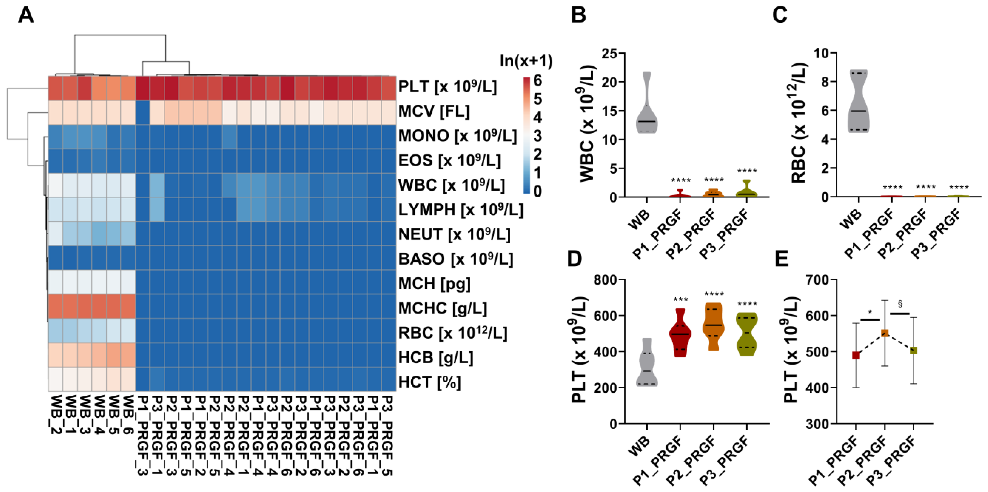 Biomedicines 14 00640 g001