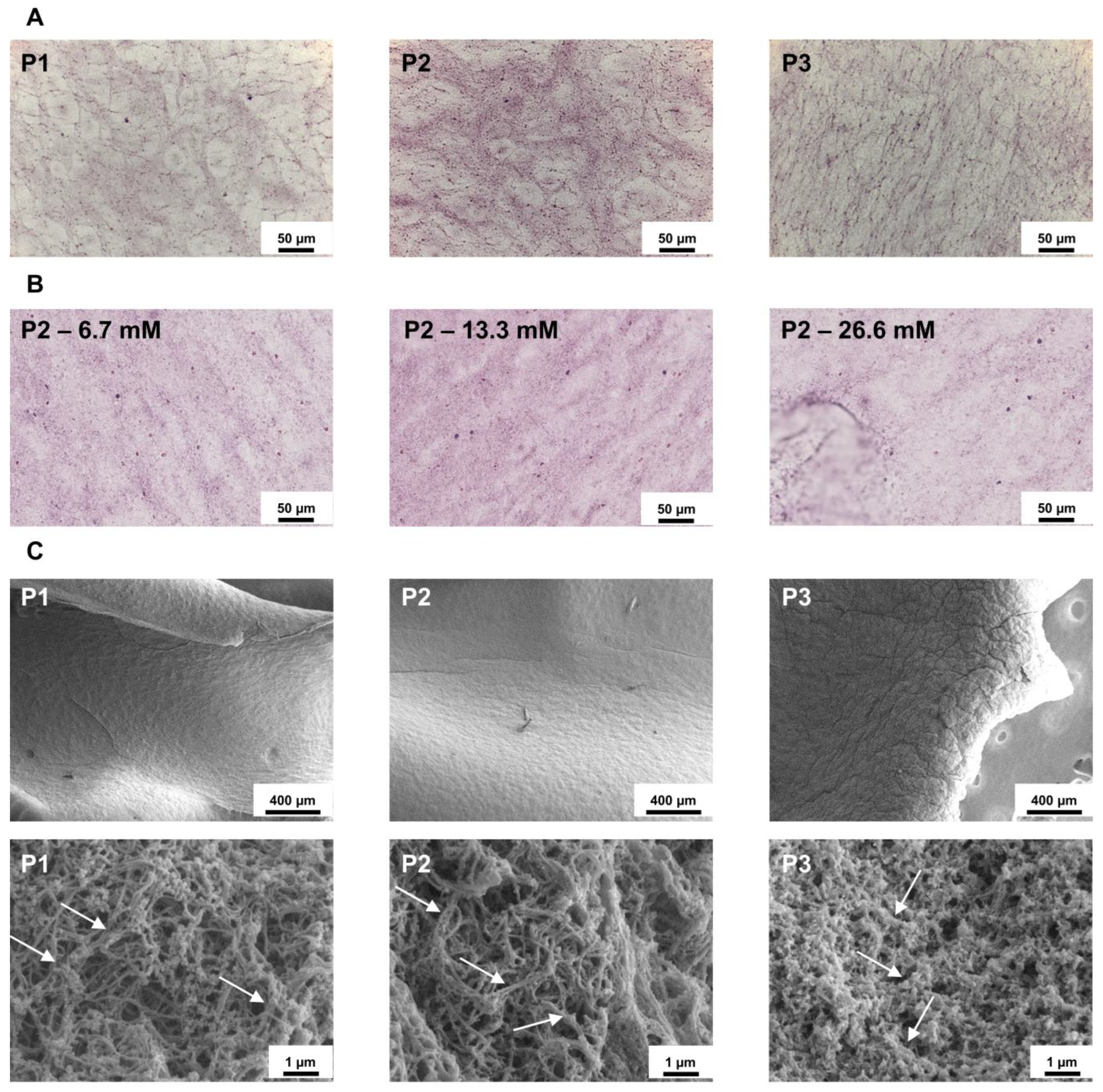 Biomedicines 14 00640 g003