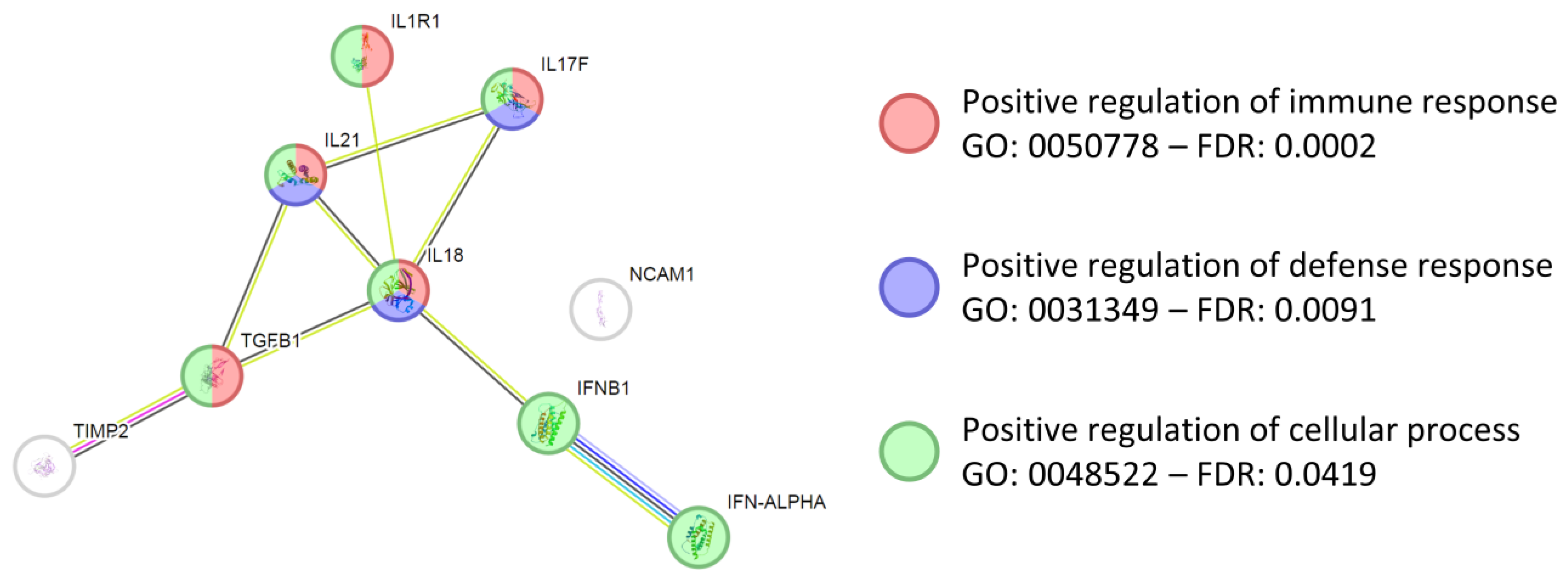 Biomedicines 14 00640 g004