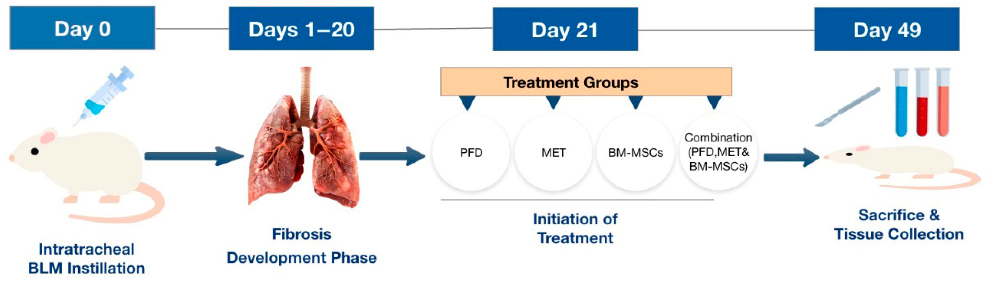 Biomedicines 14 00642 sch001 Biomedicines 14 00642 sch001