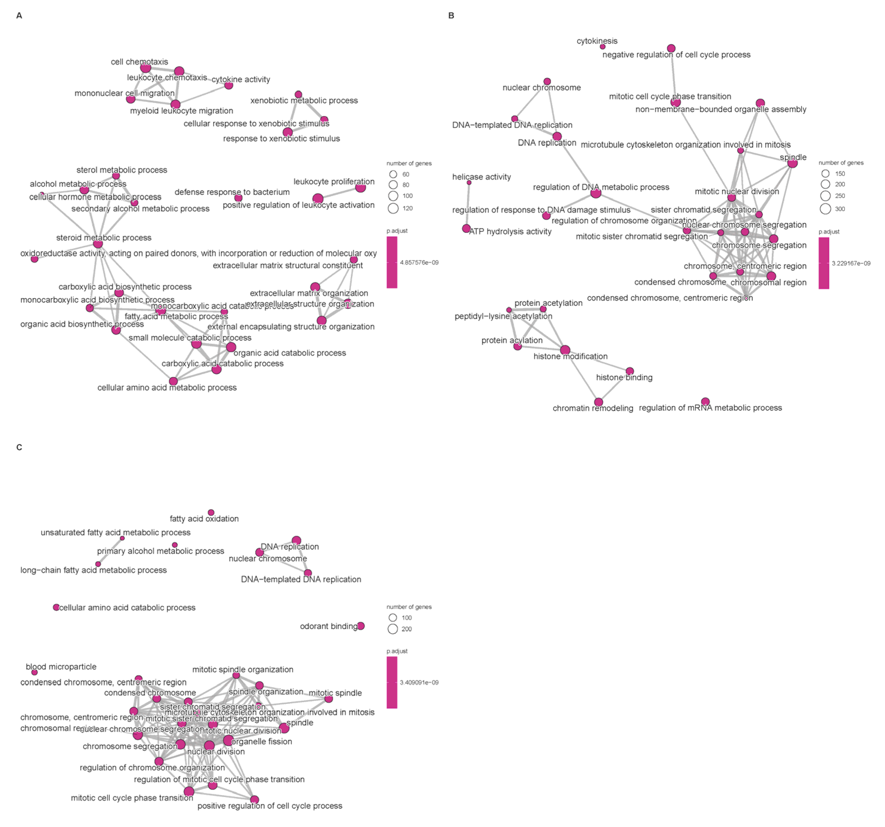 Biomedicines 14 00645 g003