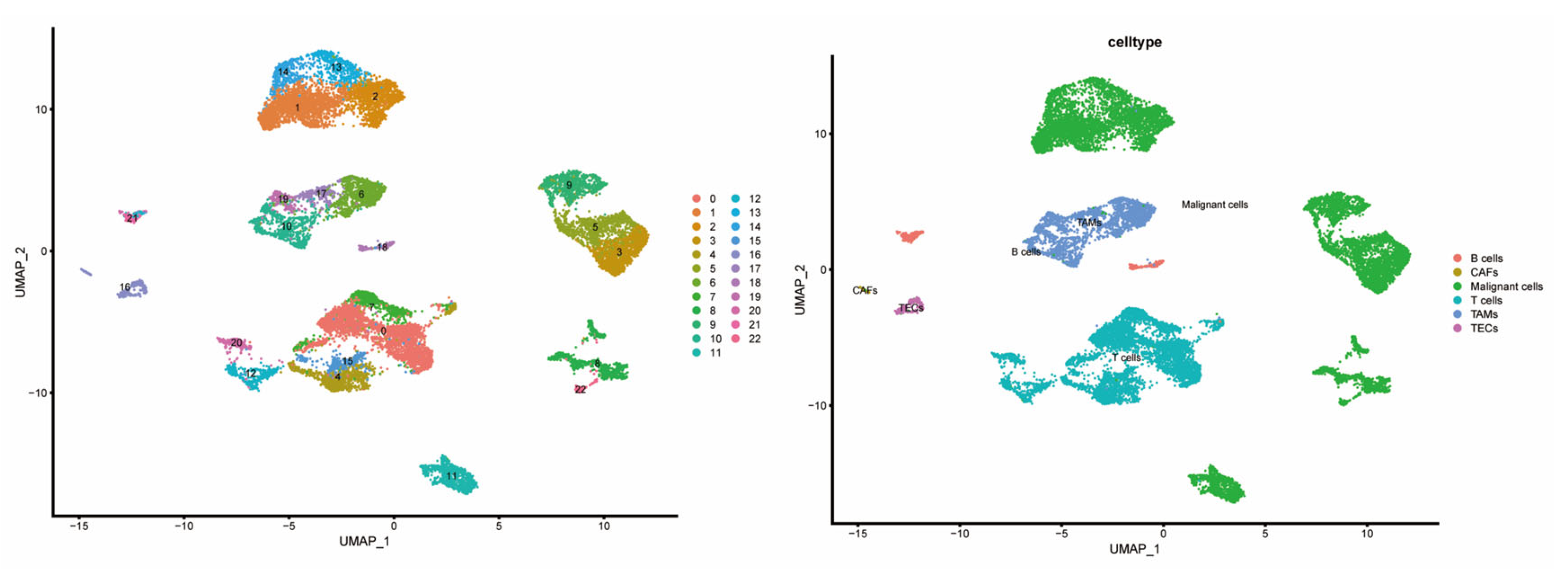 Biomedicines 14 00645 g007