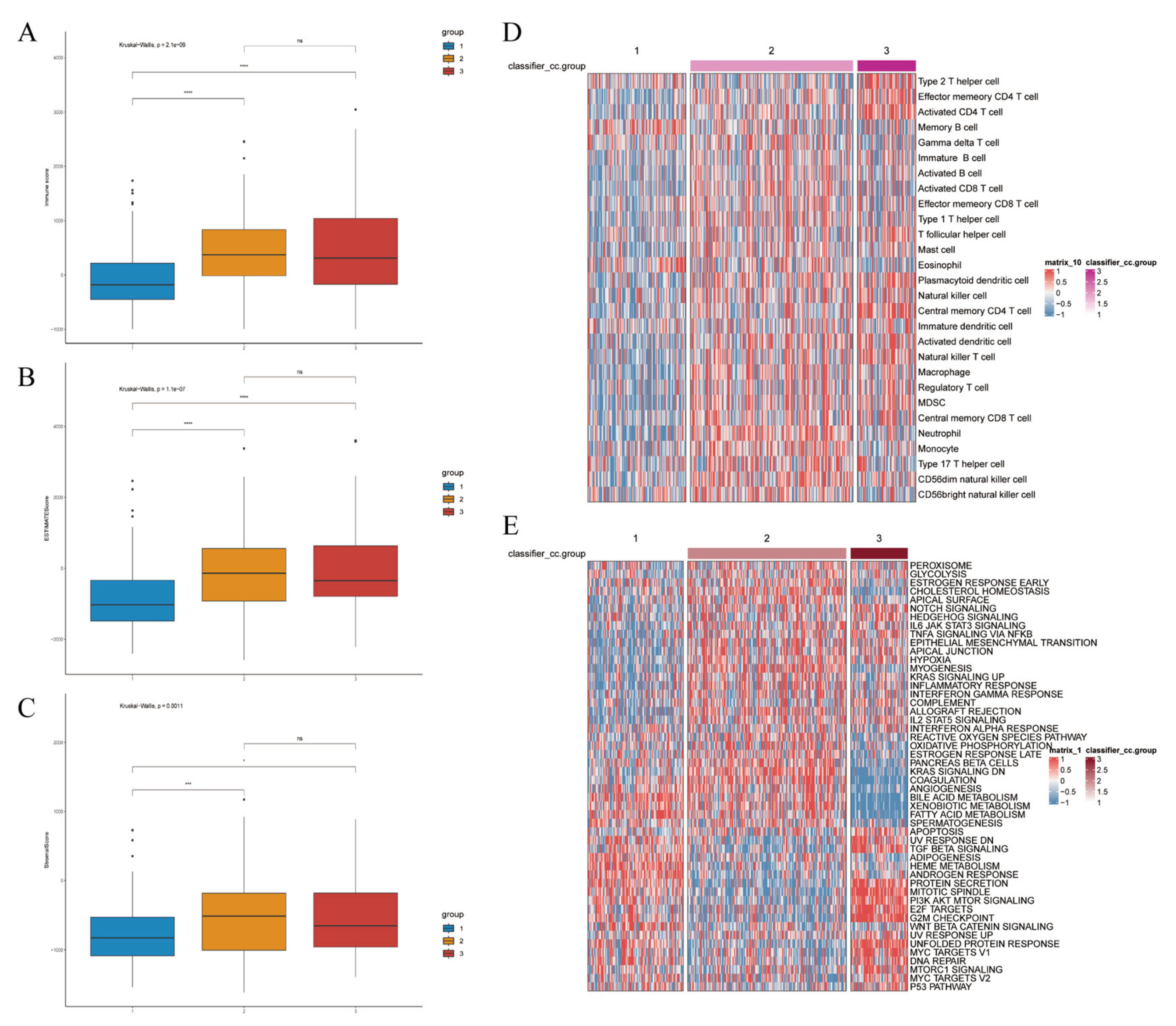 Biomedicines 14 00645 g010