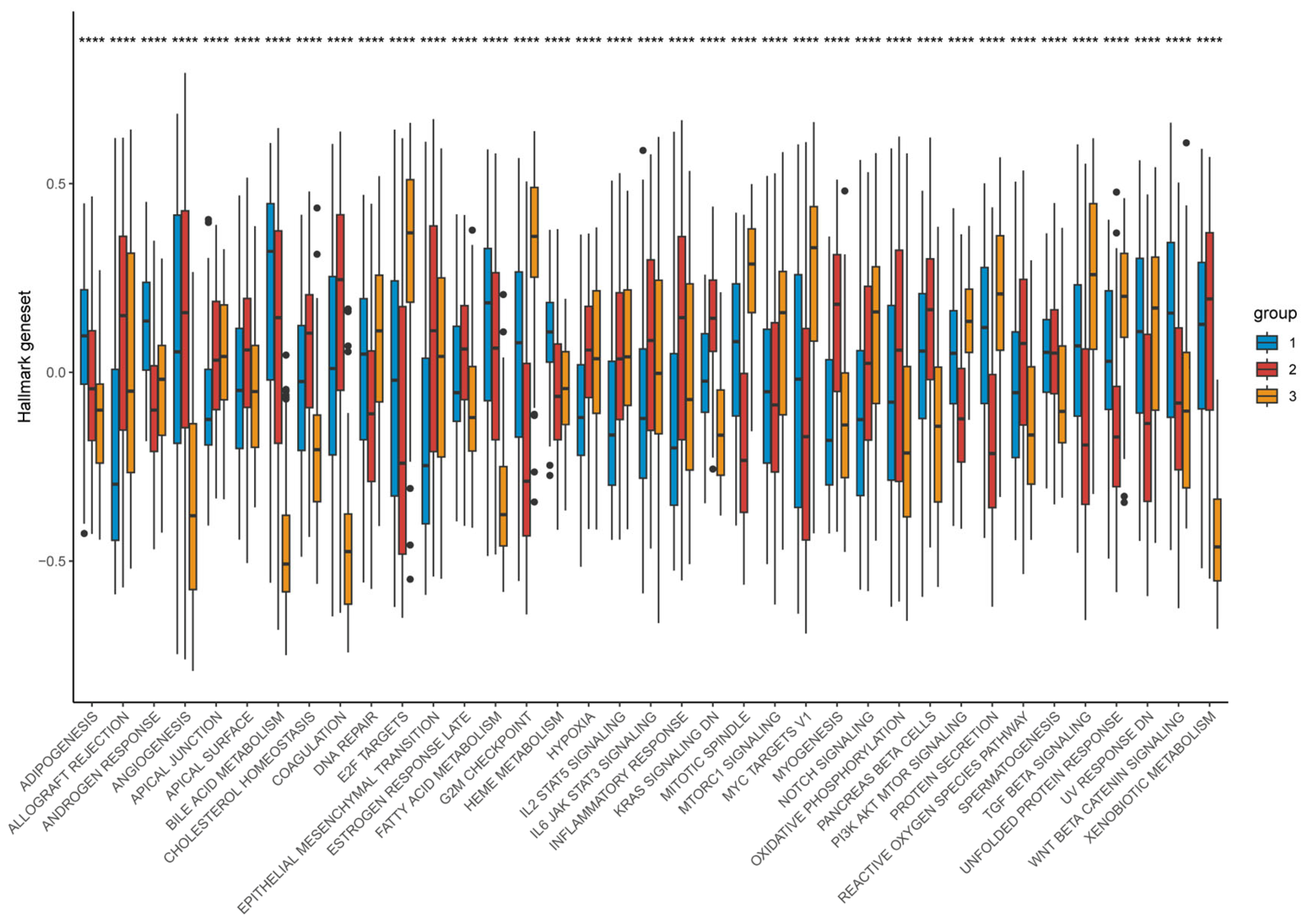 Biomedicines 14 00645 g013