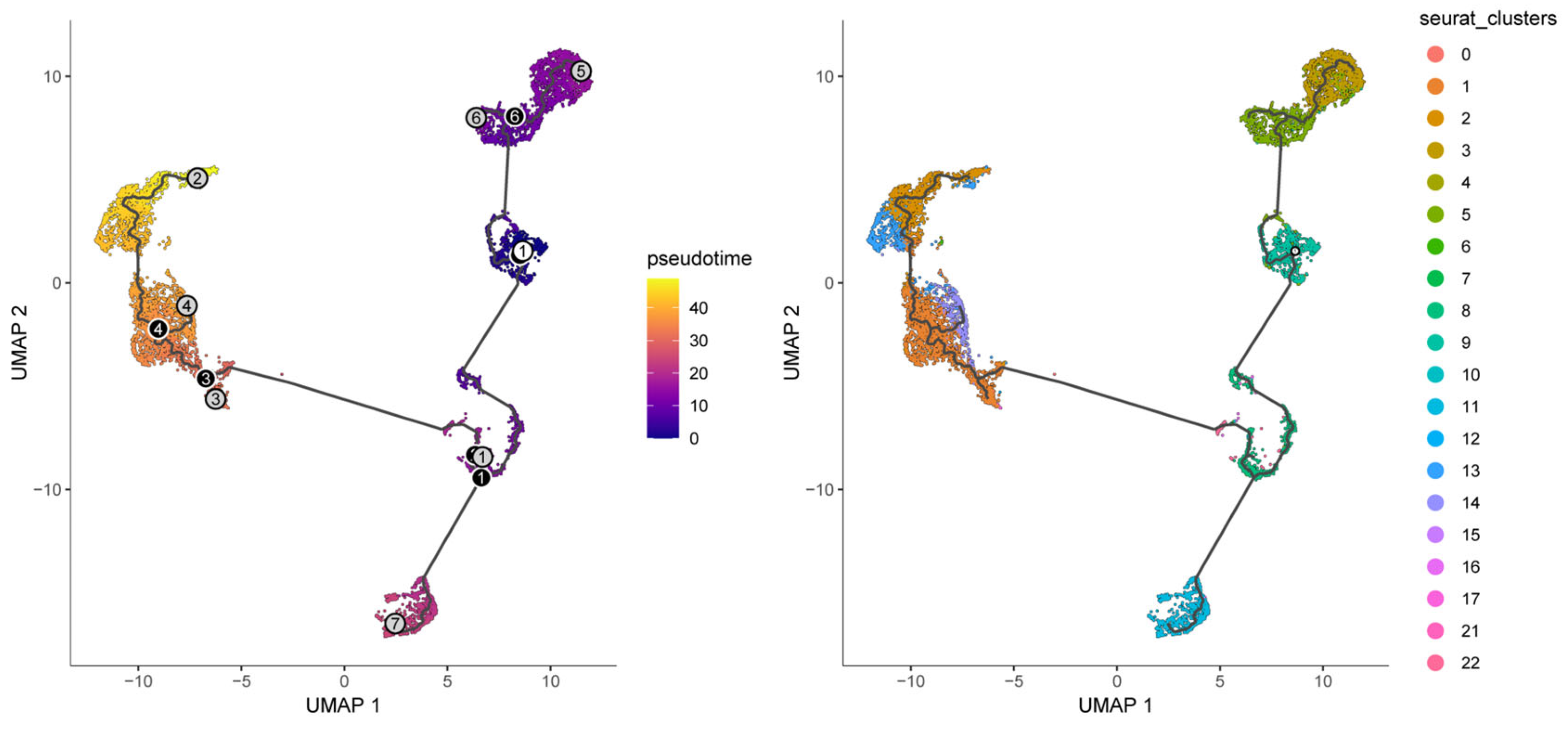 Biomedicines 14 00645 g014