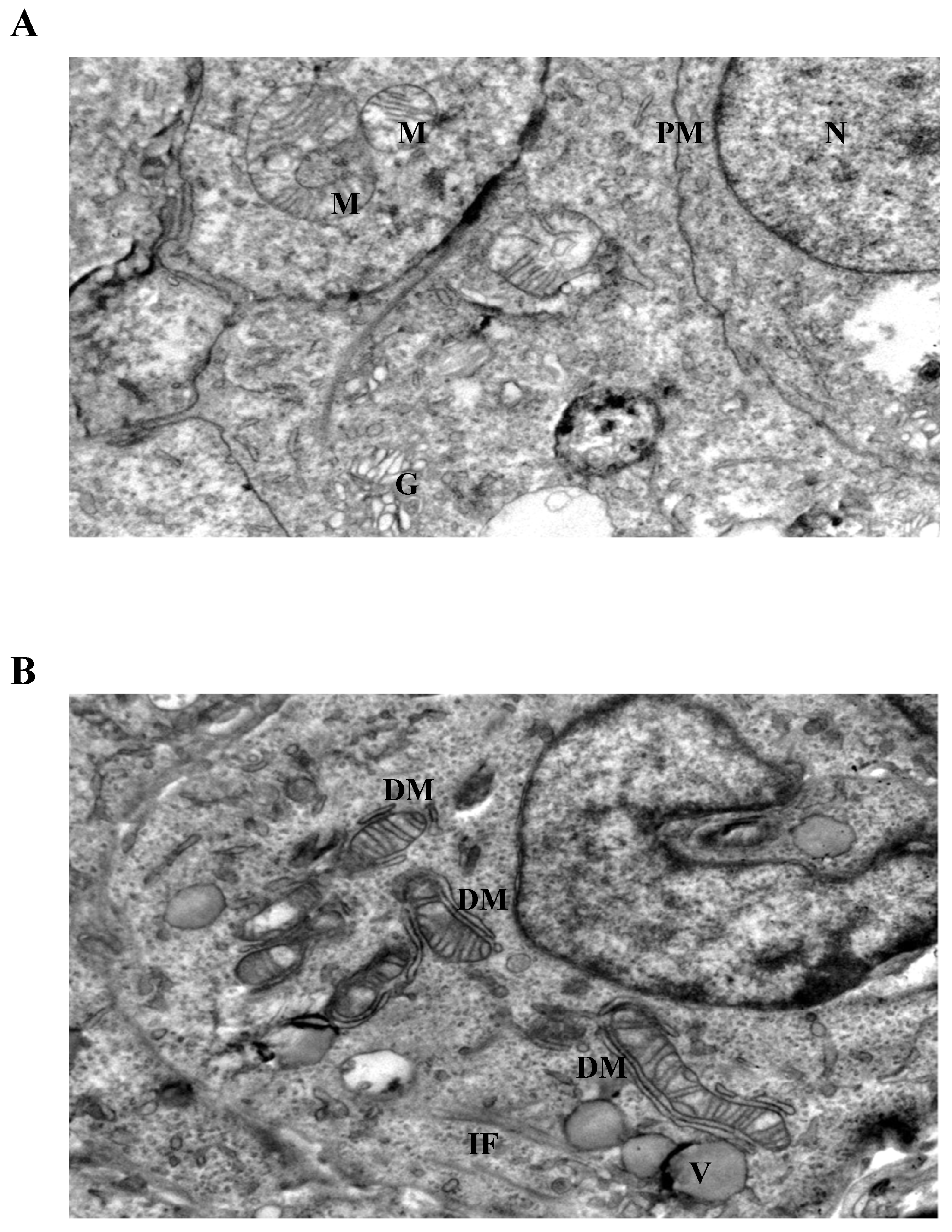 Biomedicines 14 00655 g004