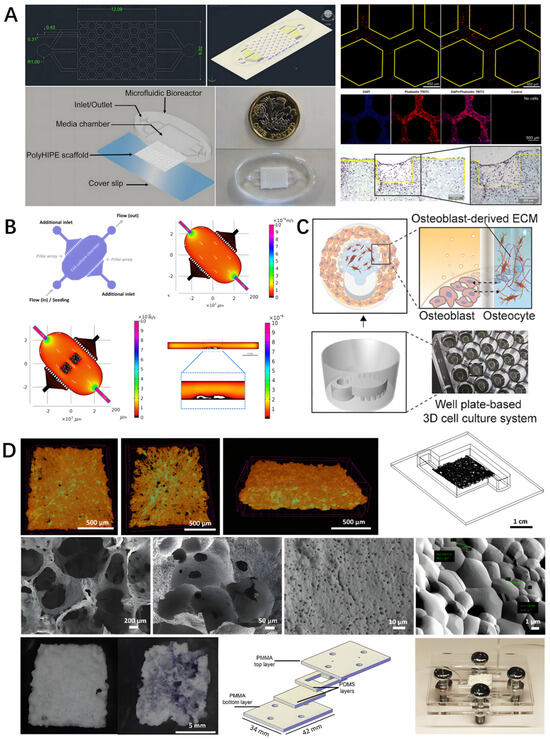 Biomedicines 14 00710 g002