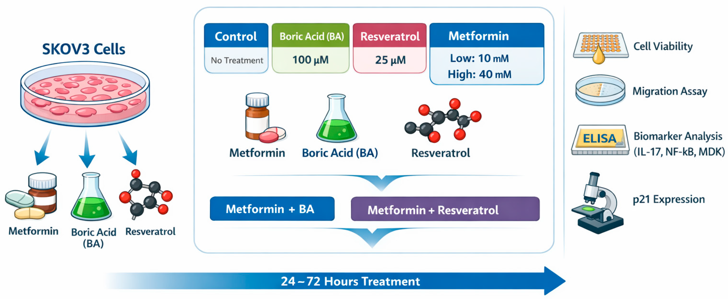 Biomedicines 14 00719 g001 Biomedicines 14 00719 g001