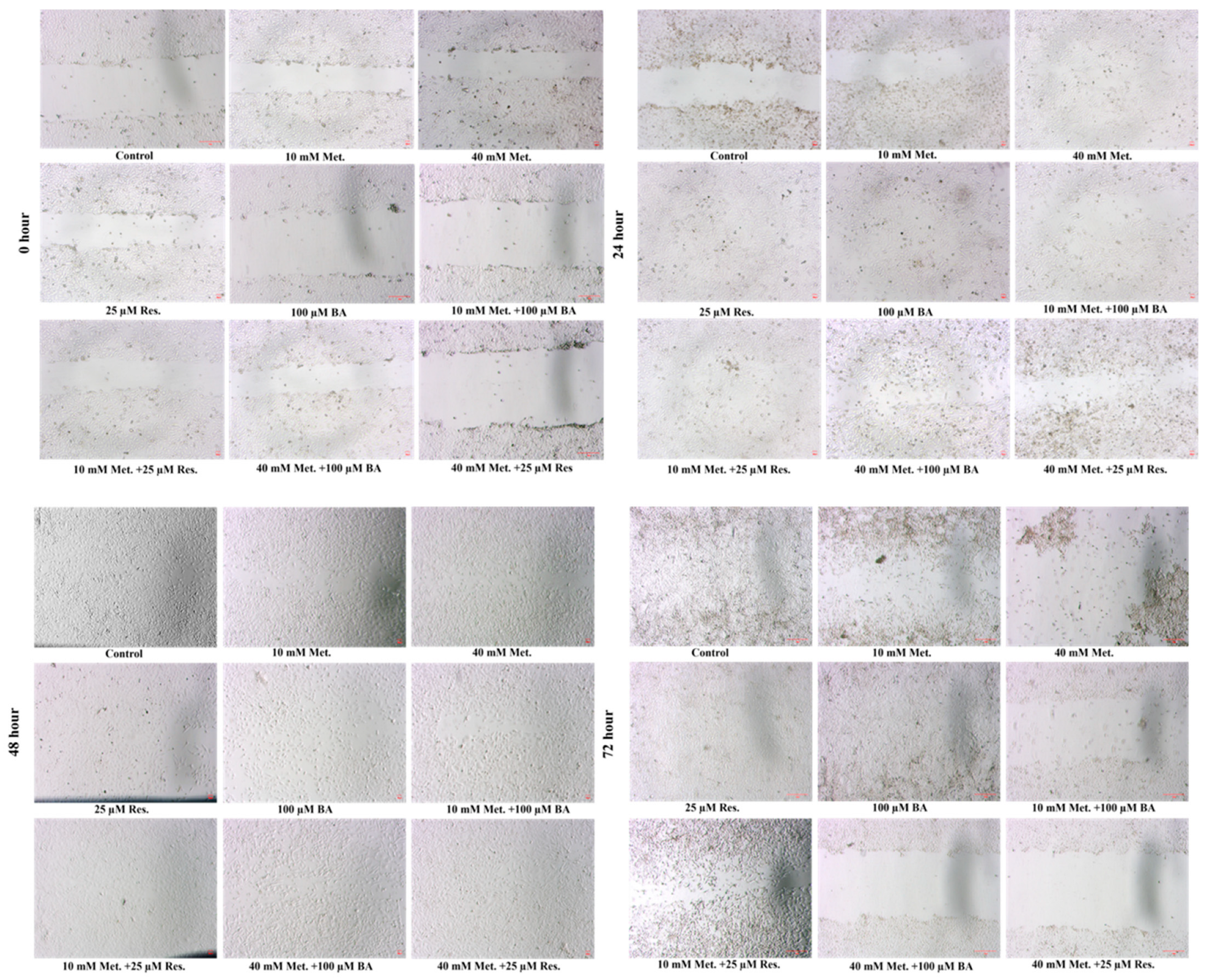 Biomedicines 14 00719 g003 Biomedicines 14 00719 g003