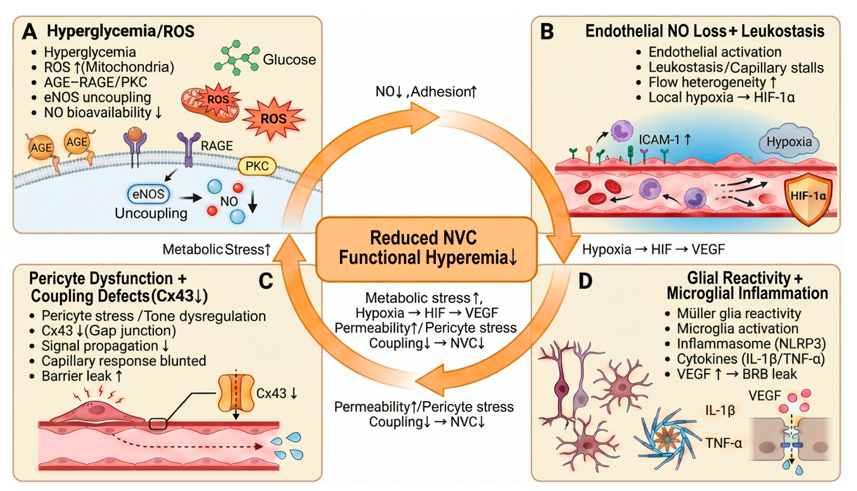 Biomedicines 14 00736 g002