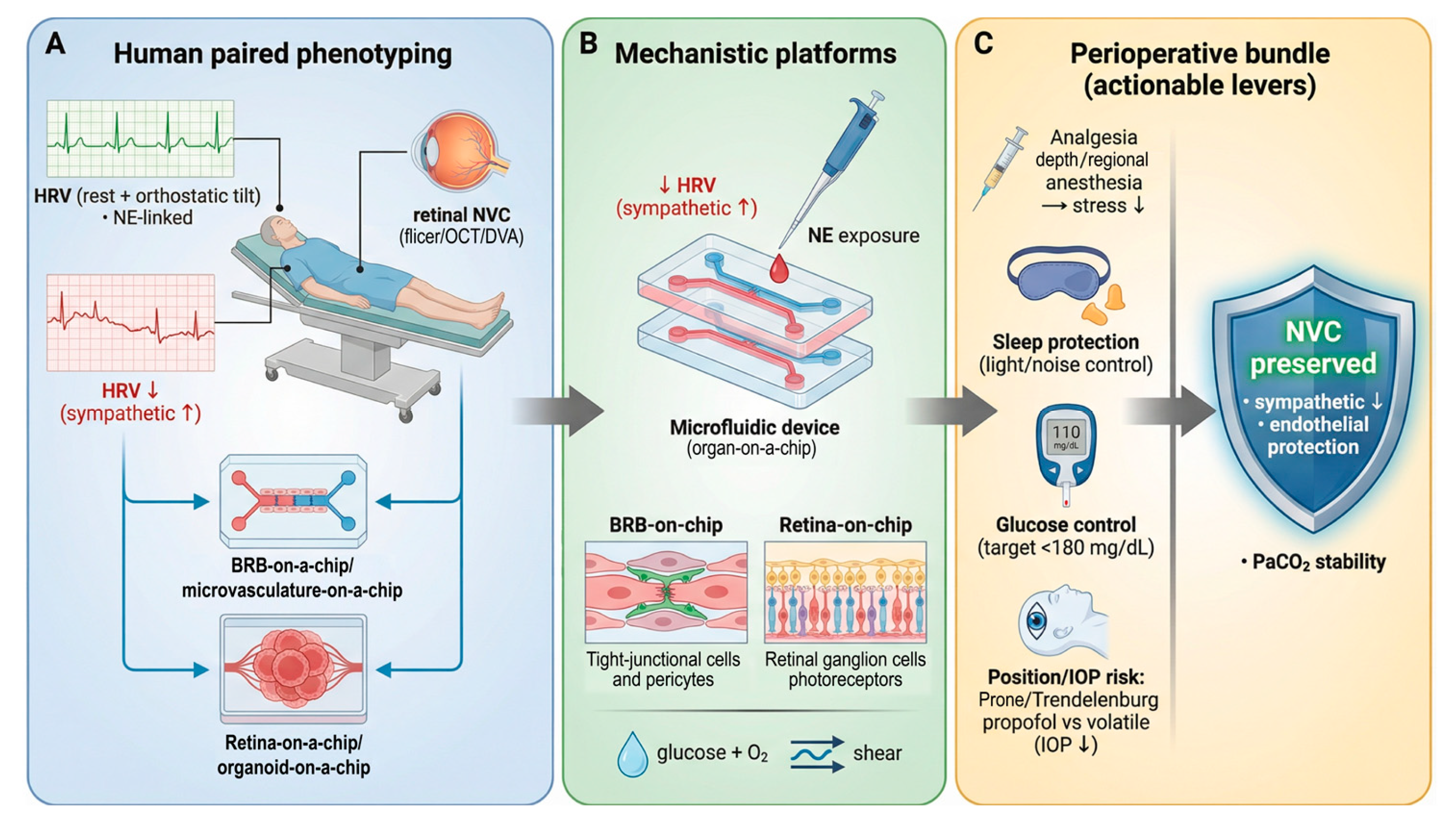 Biomedicines 14 00736 g004