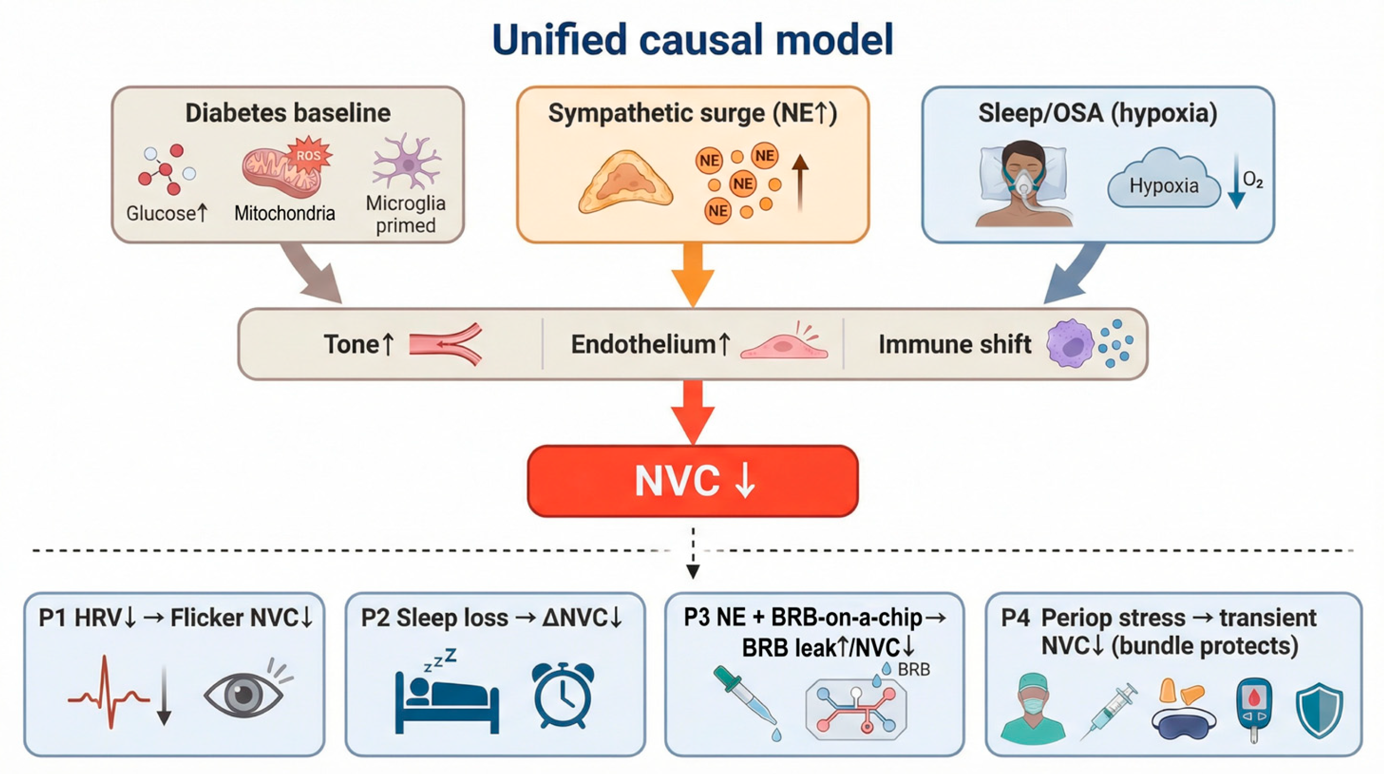 Biomedicines 14 00736 g005