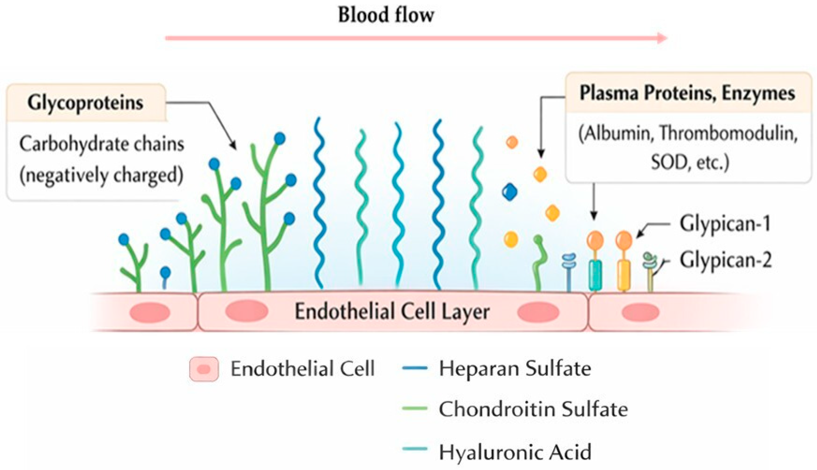 Biomedicines 14 00837 g001 Biomedicines 14 00837 g001