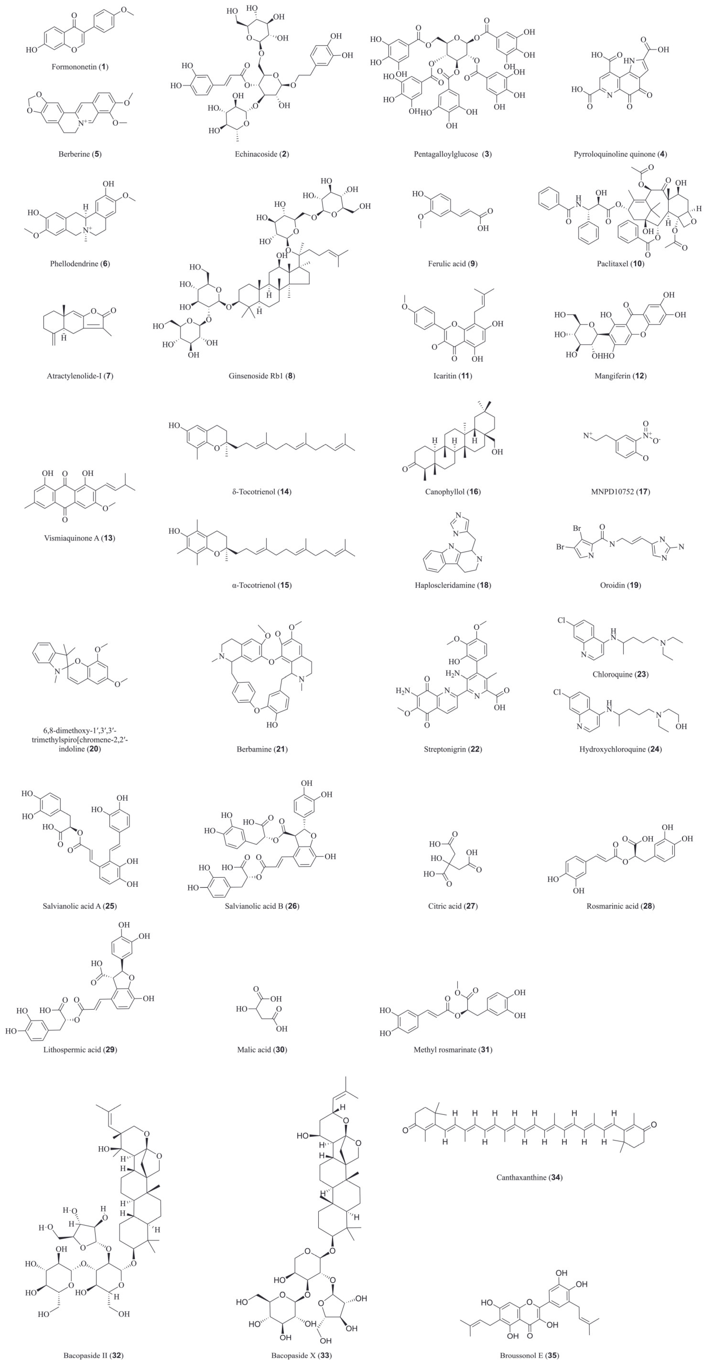Biomedicines 14 00850 g002 Biomedicines 14 00850 g002