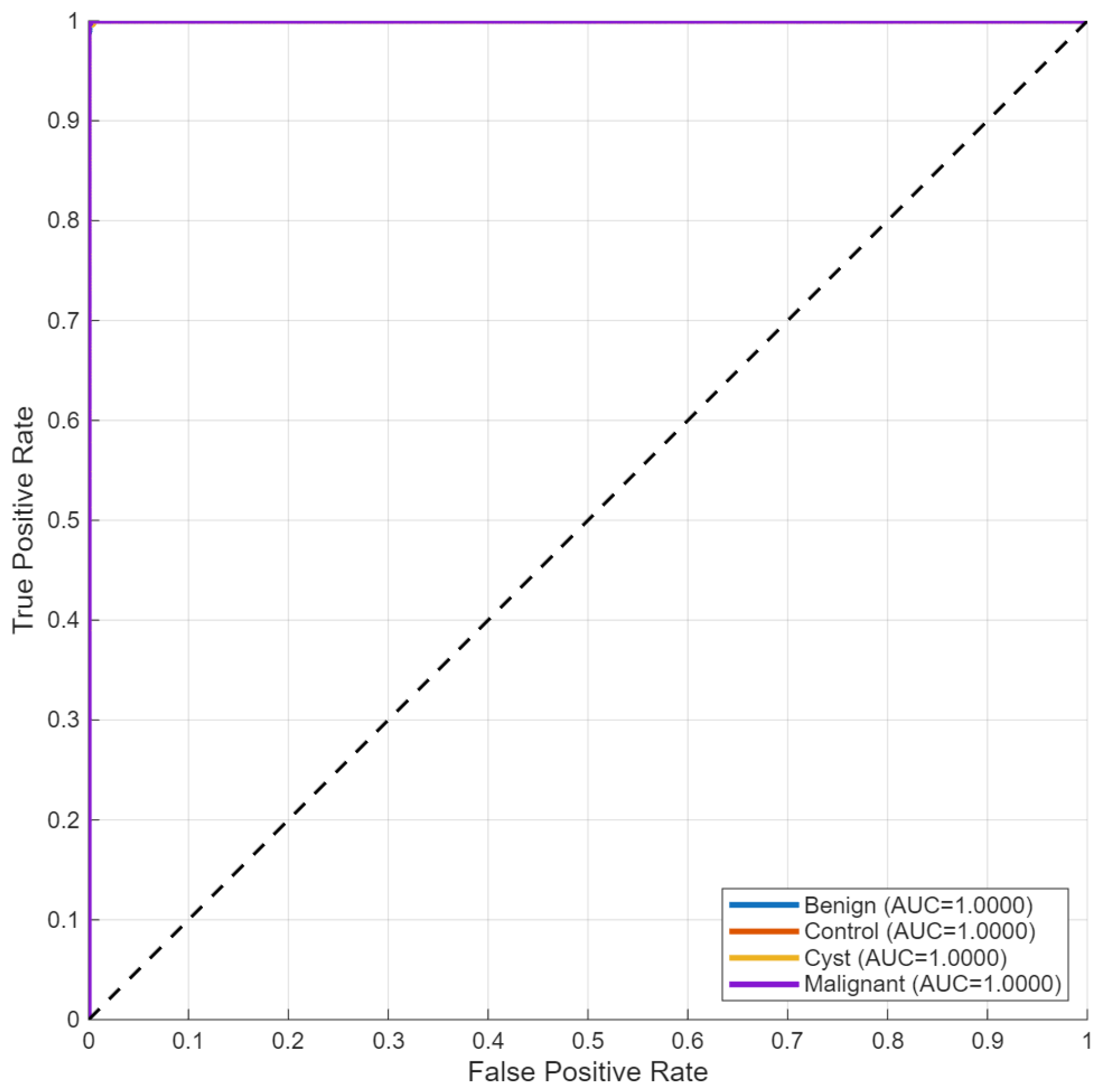 Biomedicines 14 01105 g024 Biomedicines 14 01105 g024