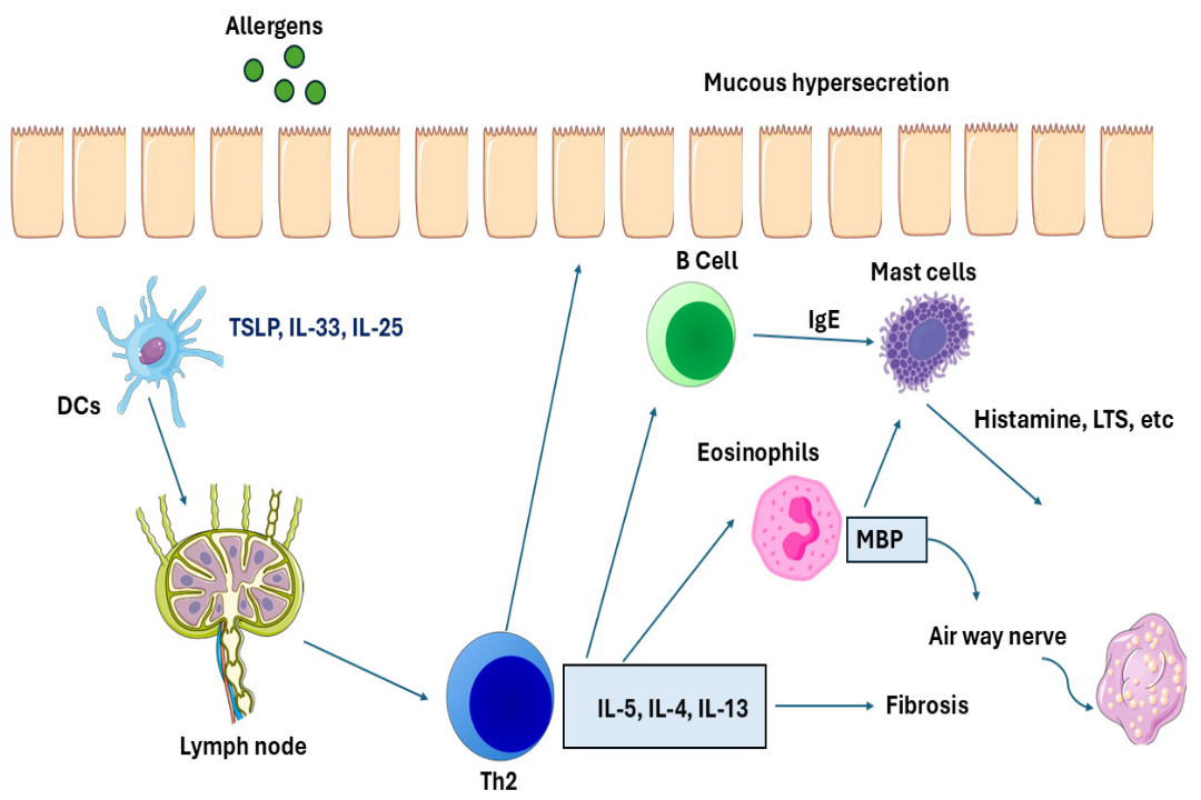 Biomedicines 14 01107 g001 Biomedicines 14 01107 g001