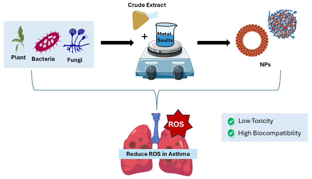 Biomedicines 14 01107 g004 Biomedicines 14 01107 g004