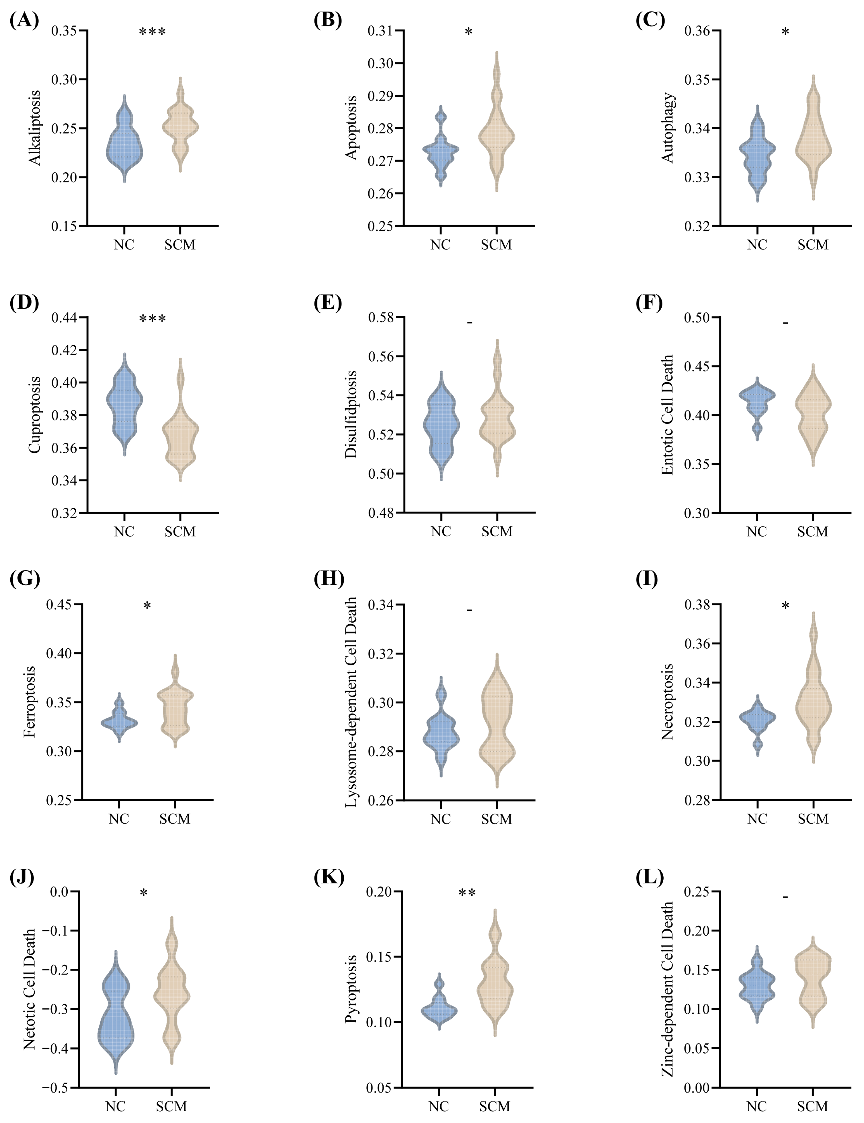 Biomedicines 14 01114 g001 Biomedicines 14 01114 g001
