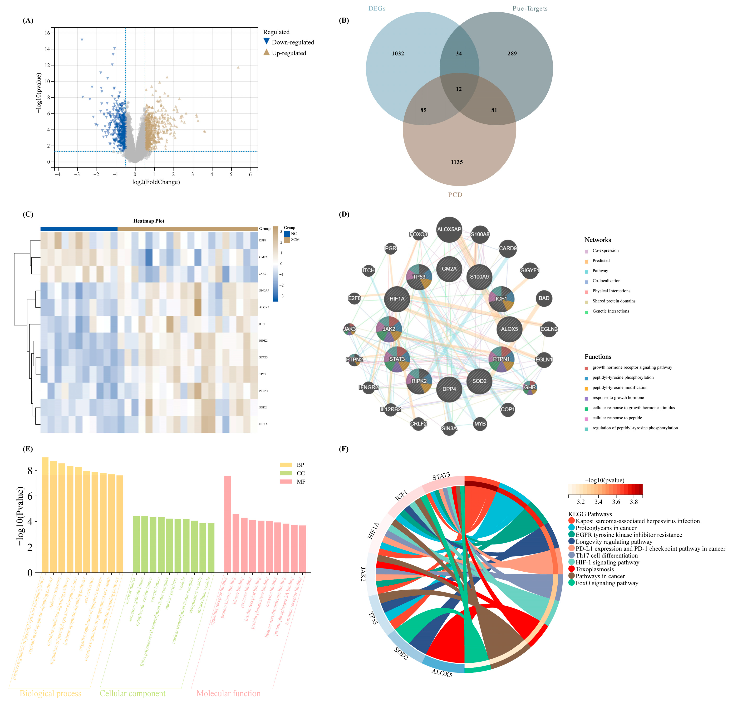 Biomedicines 14 01114 g002 Biomedicines 14 01114 g002
