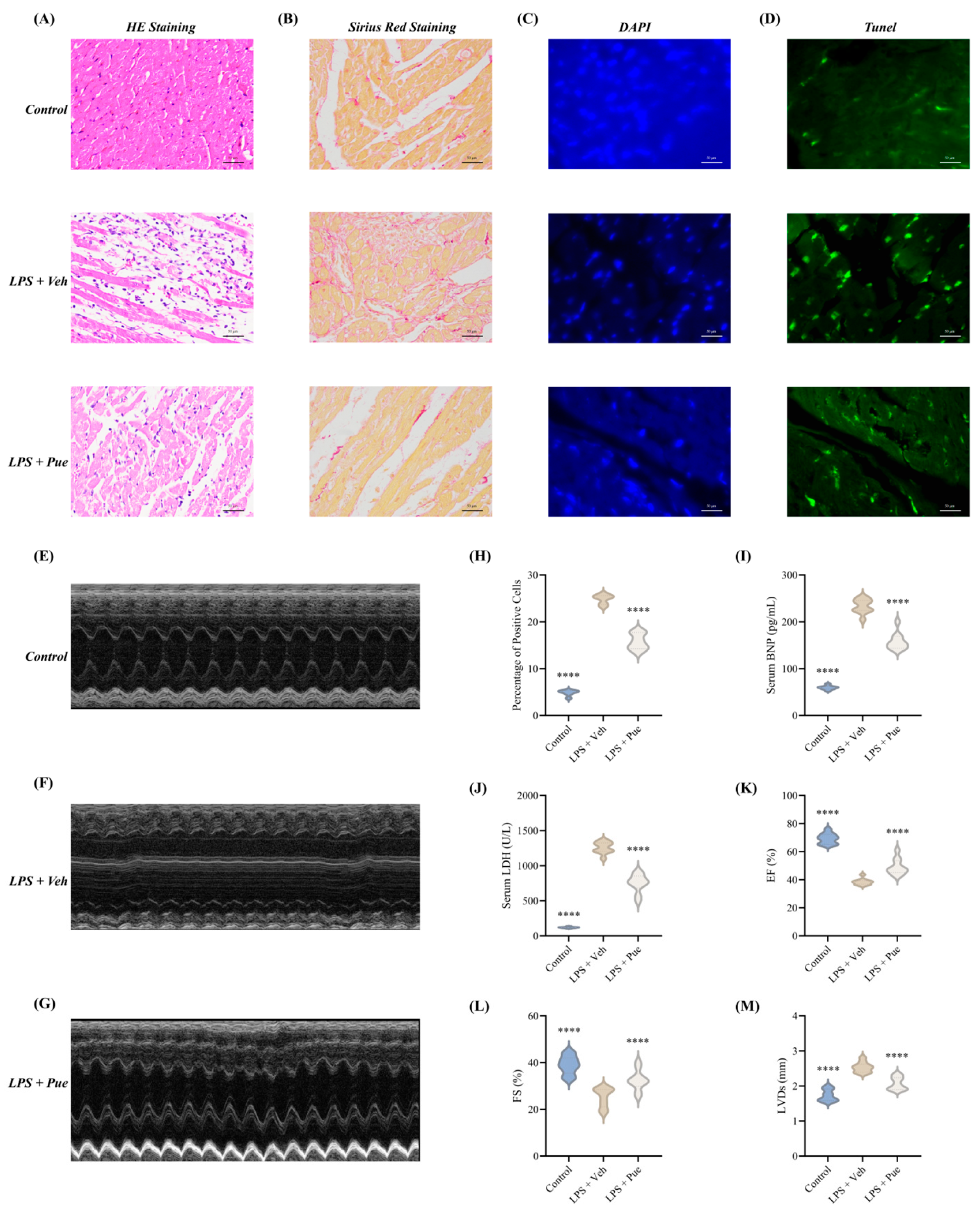 Biomedicines 14 01114 g007 Biomedicines 14 01114 g007