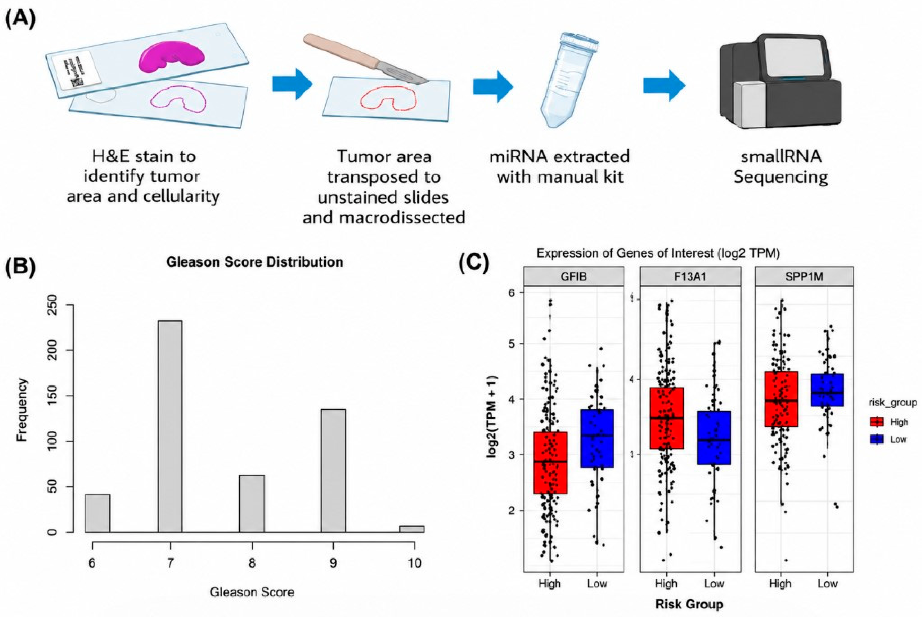 Biomedicines 14 01169 g001