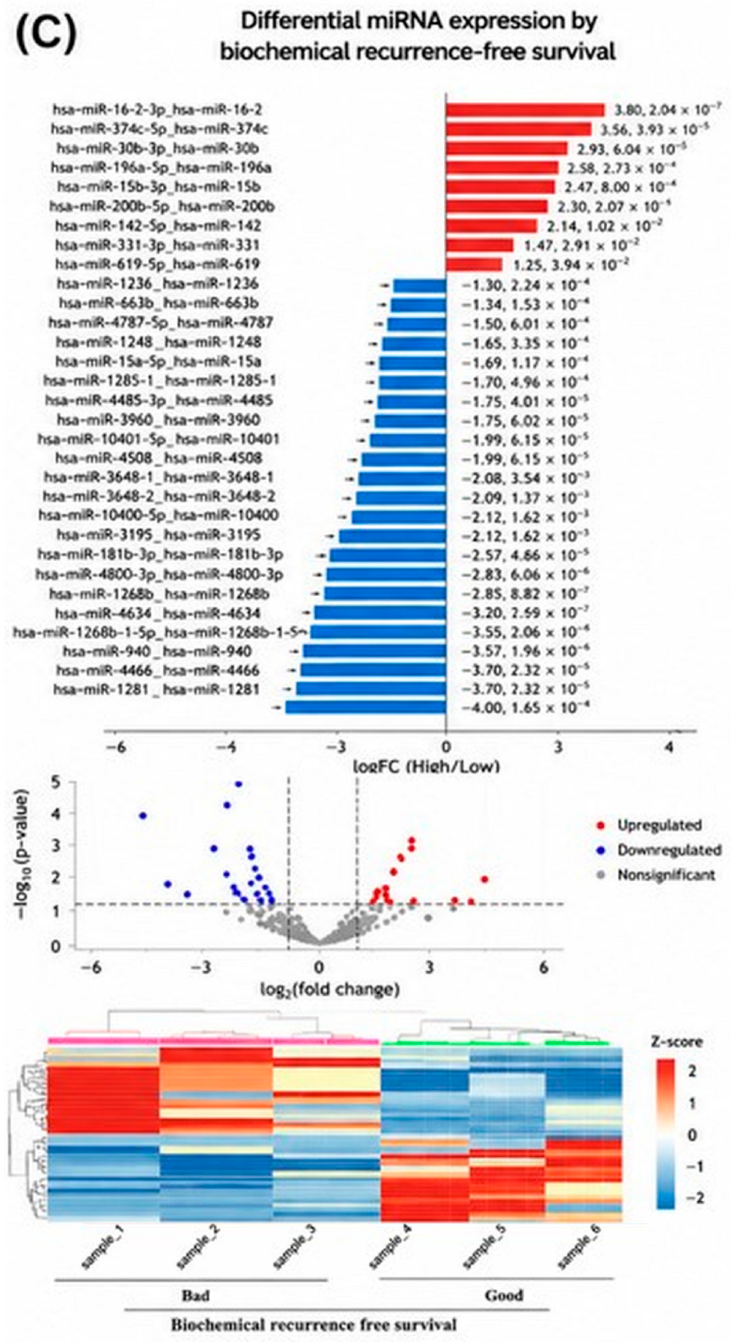 Biomedicines 14 01169 g002c