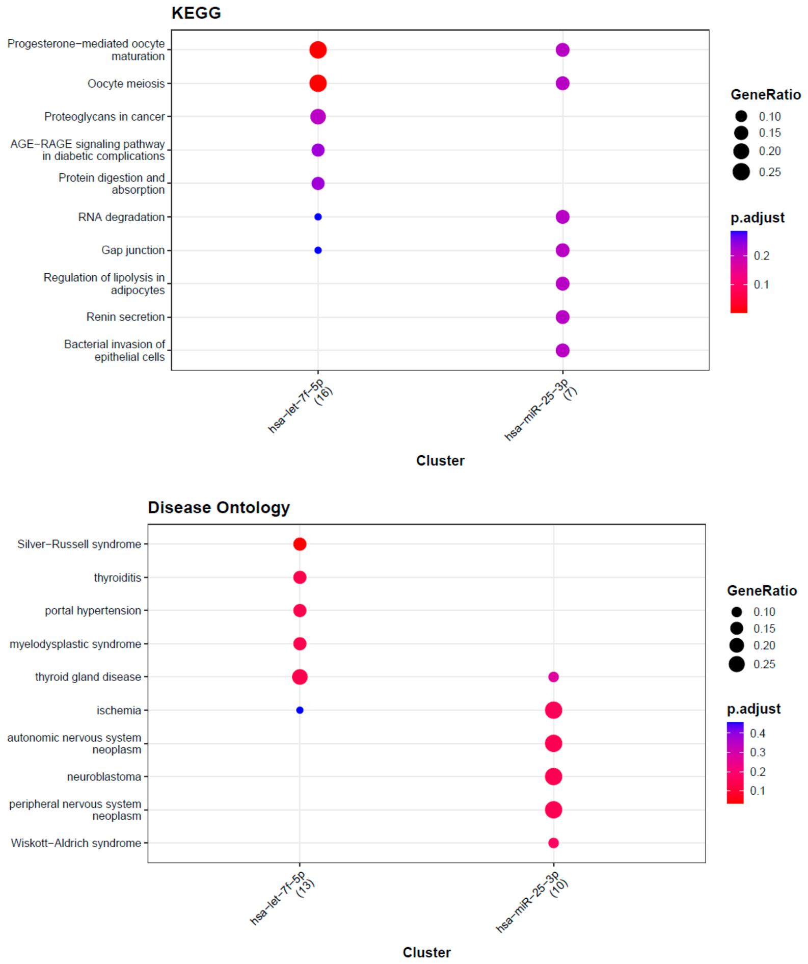 Biomedicines 14 01169 g004